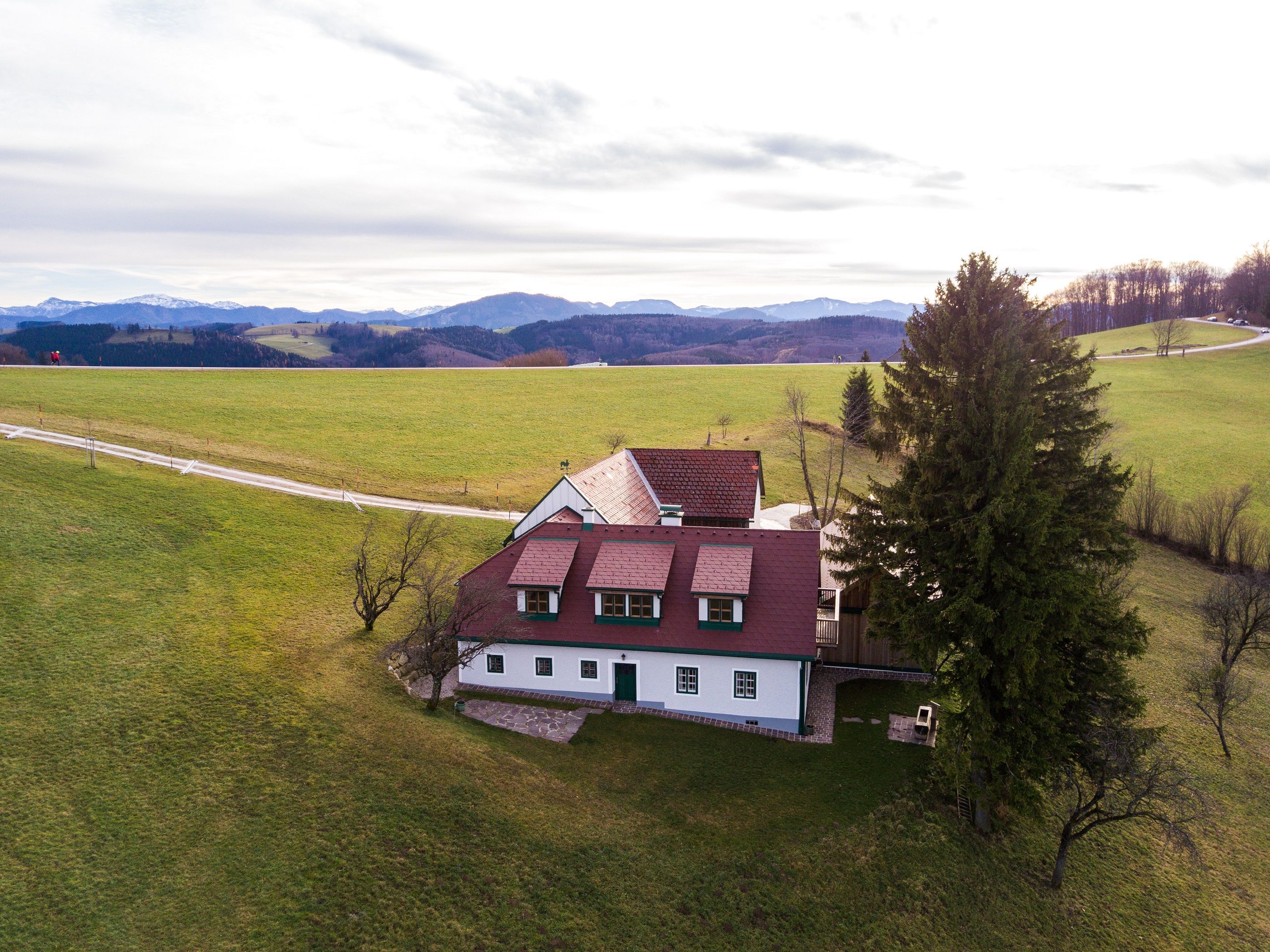 Stein im Holz Außenansicht 