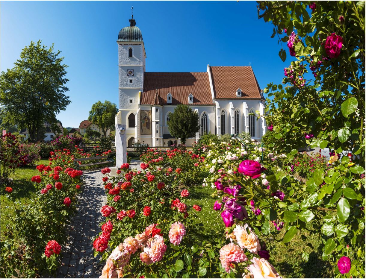 Wehrkirche in Kirchschlag mit blühendem Rosengarten im Vordergrund.