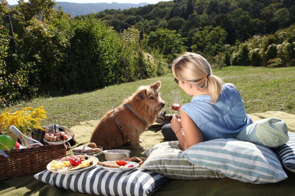 Frau mit Hund bei einem Picknick im Grünen mit Wein und Snacks.