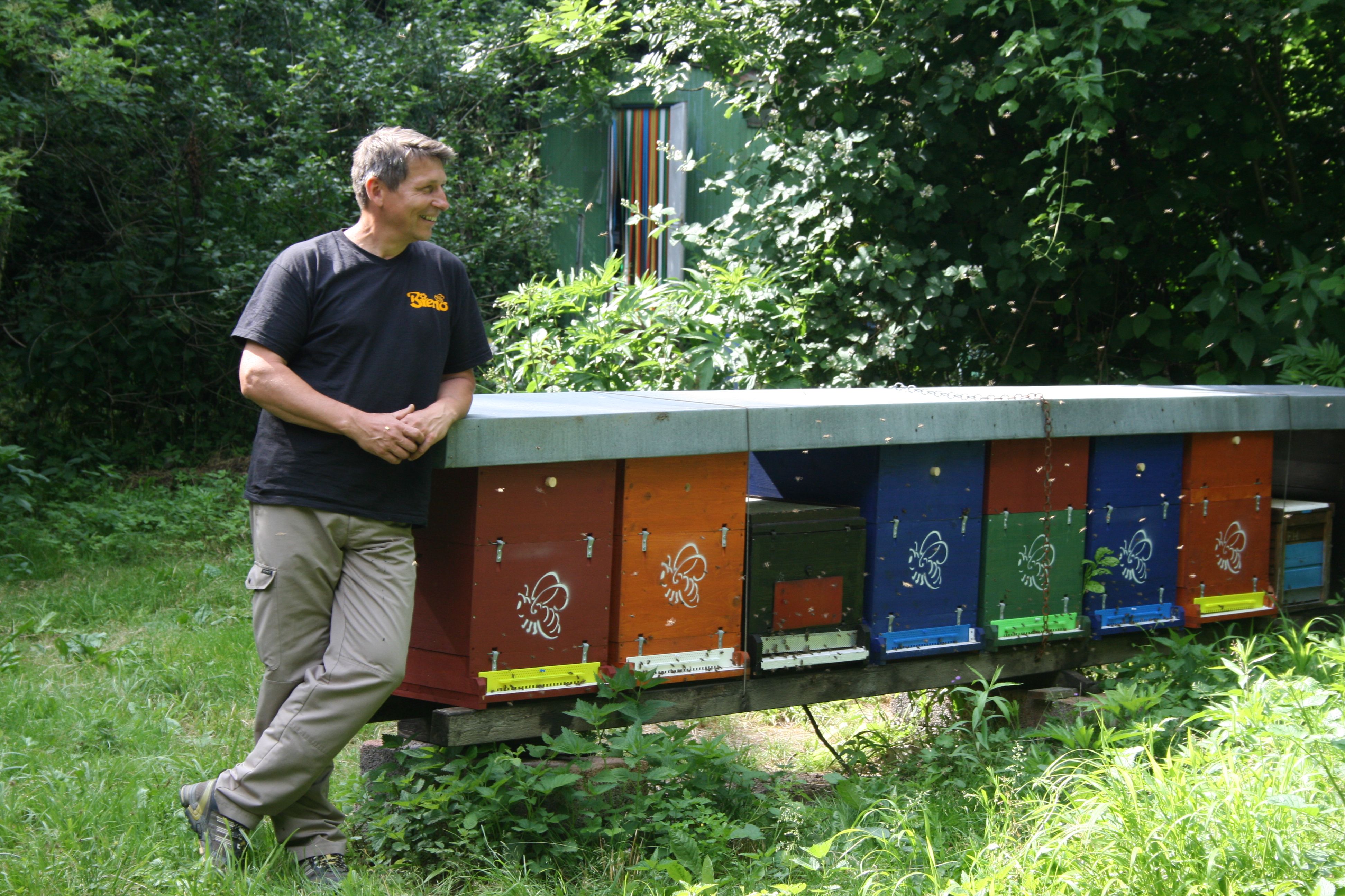 Ein Imker steht neben bunten Bienenstöcken in einem grünen Garten.