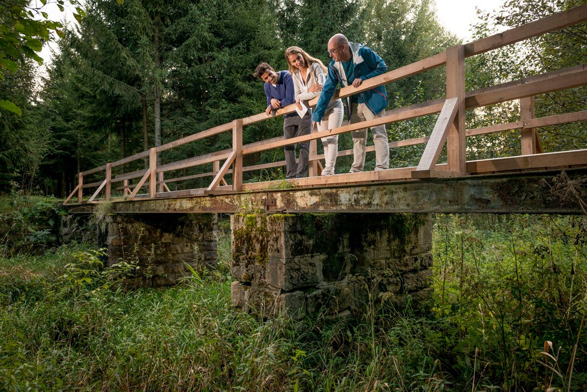 Drei Personen stehen auf einer alten Bahnbrücke im Wald und schauen hinunter.