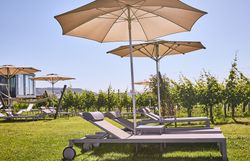 Die sanften Hügel der Weinregion laden zum Entspannen ein, während die Sonnenschirme Schatten spenden und die Liegen zum Verweilen einladen. Umgeben von üppigen Weinreben bietet dieser Ort eine perfekte Kulisse für einen unvergesslichen Sommertag.