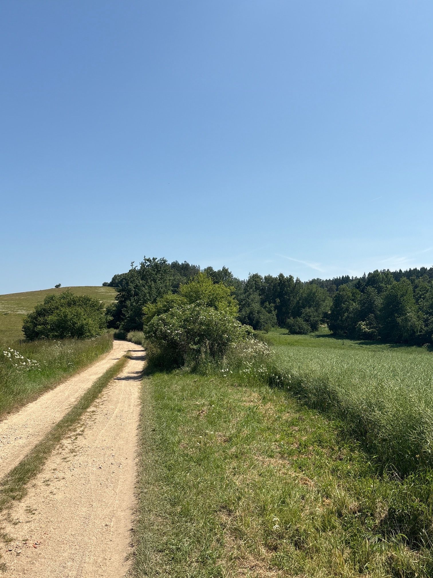 Zwischen Slavonice und Rappolz