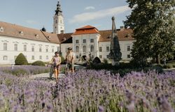 Kamp-Thaya-March Radroute