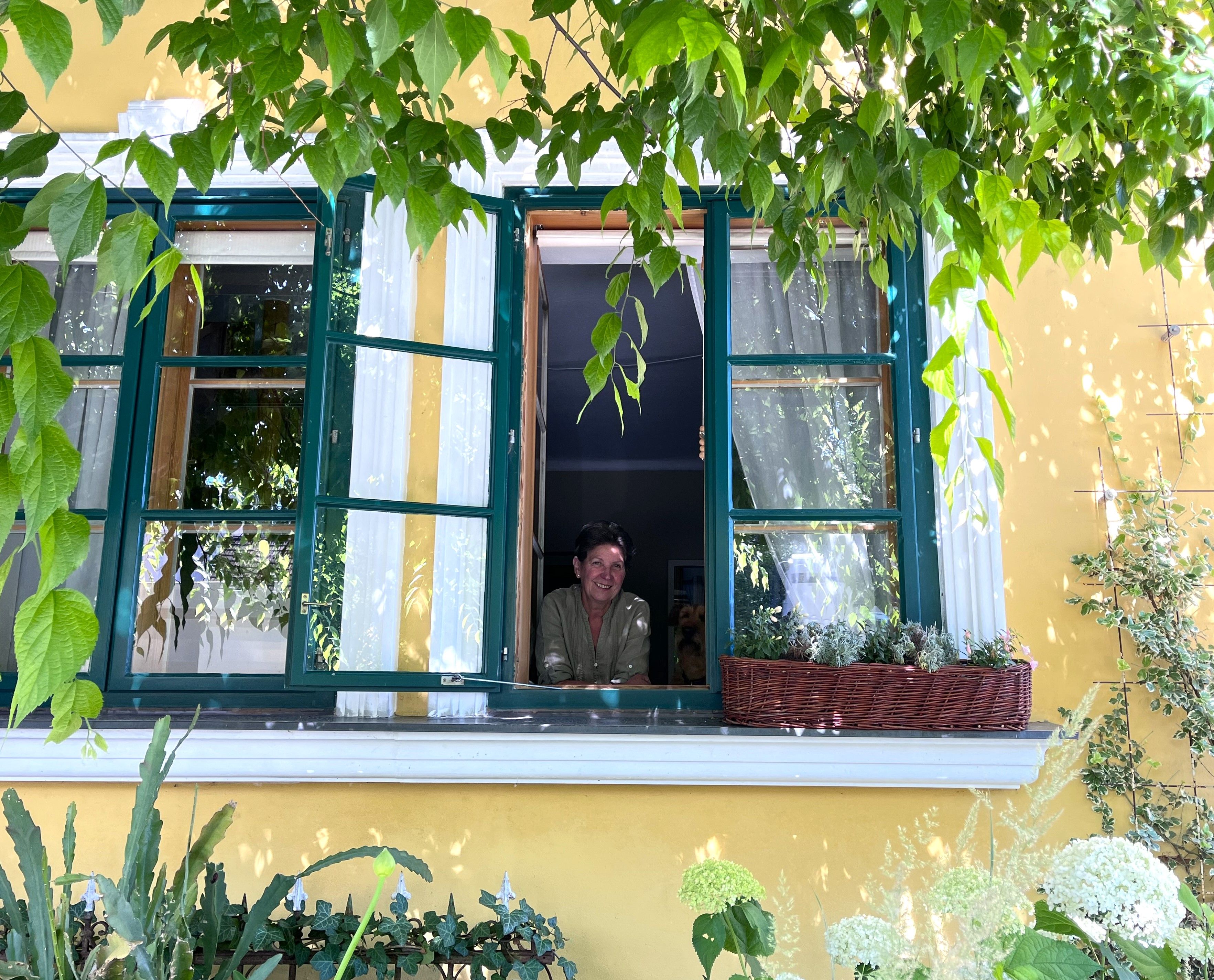 Eine Person schaut aus einem geöffneten Fenster eines gelben Hauses mit grünen Fensterrahmen, umgeben von Pflanzen.
