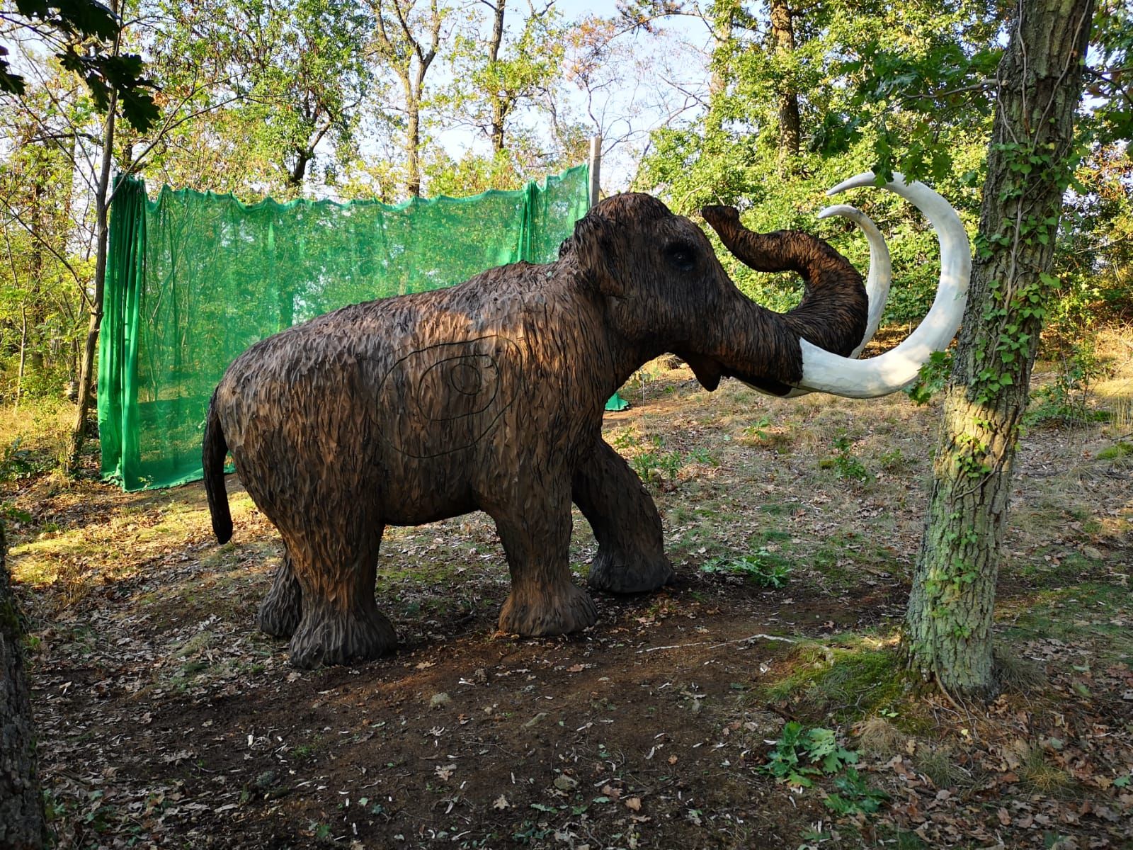 3D-Bogenparcour