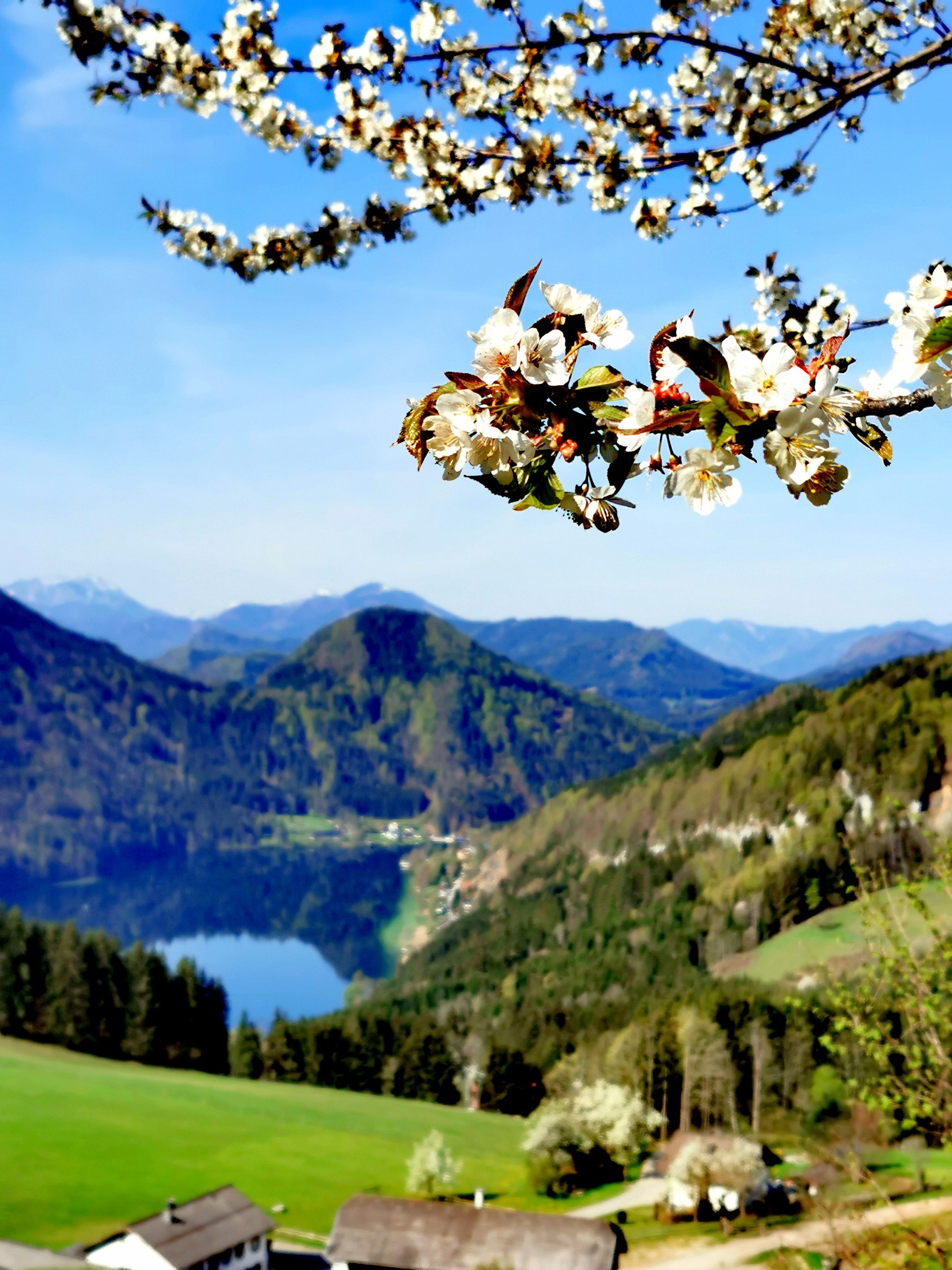 Wanderung auf den Maiszinken