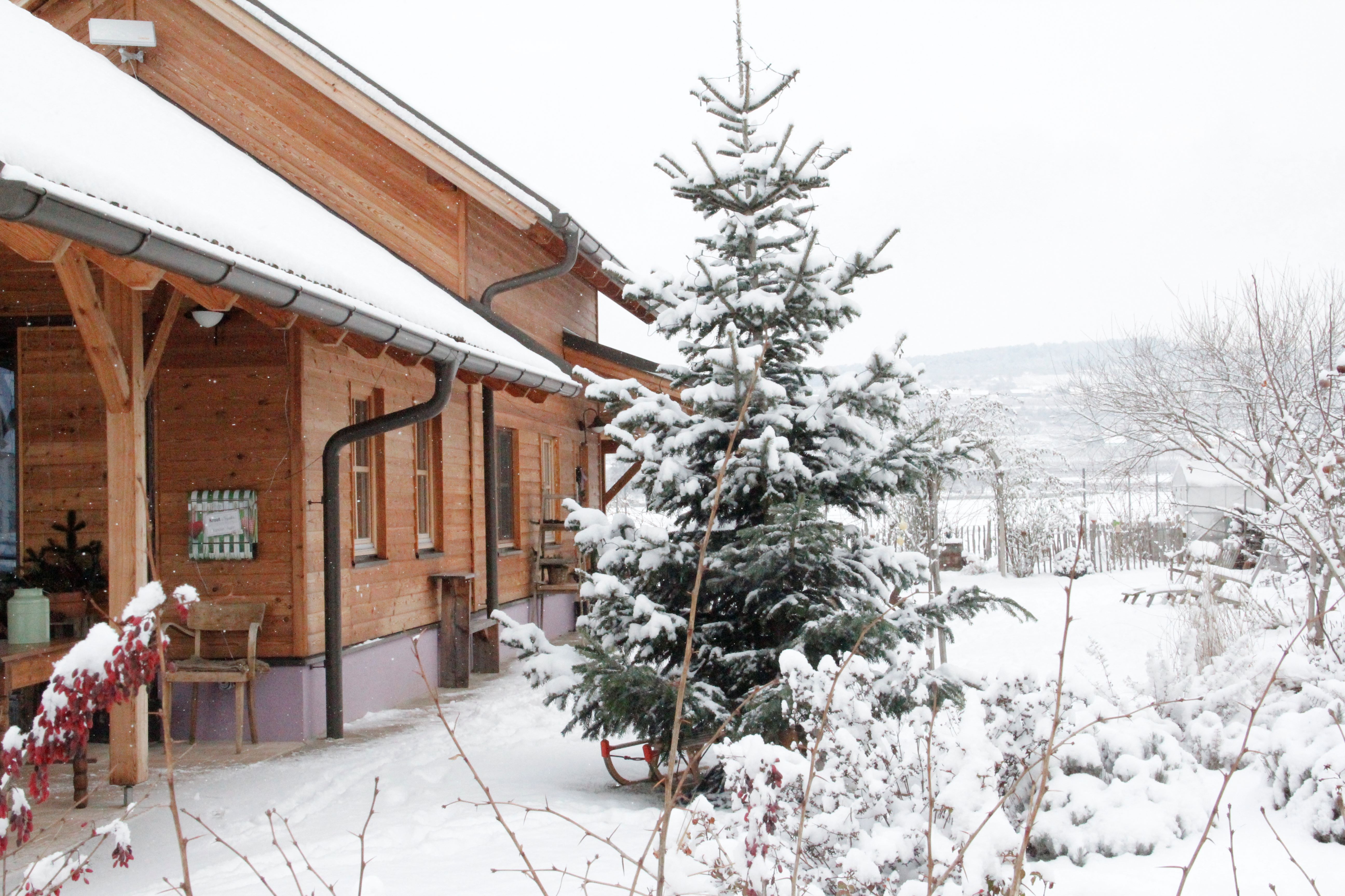 Haus Winter