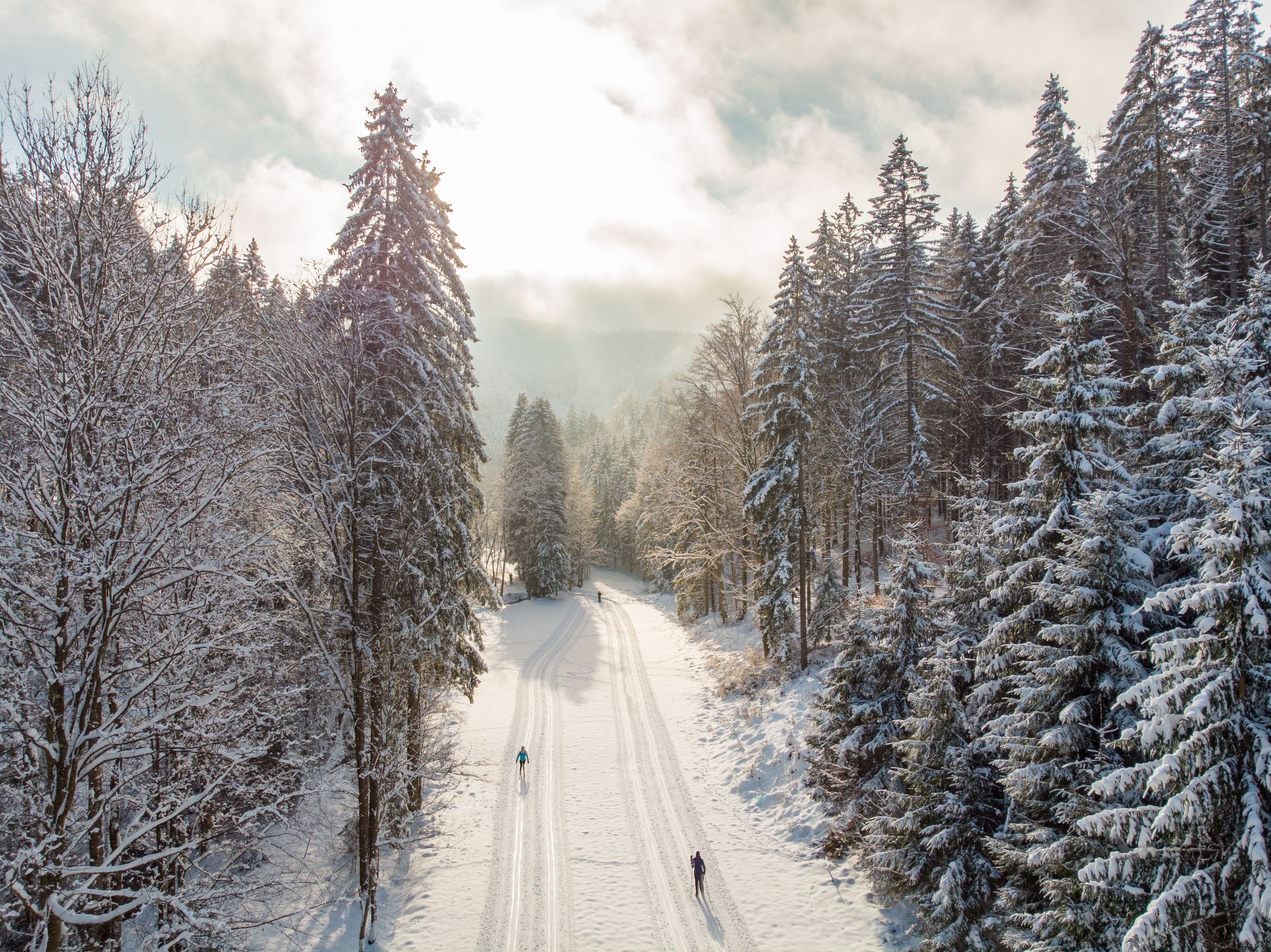 Verschneite Langlaufloipe in einem Wald mit zwei Langläufer:innen.