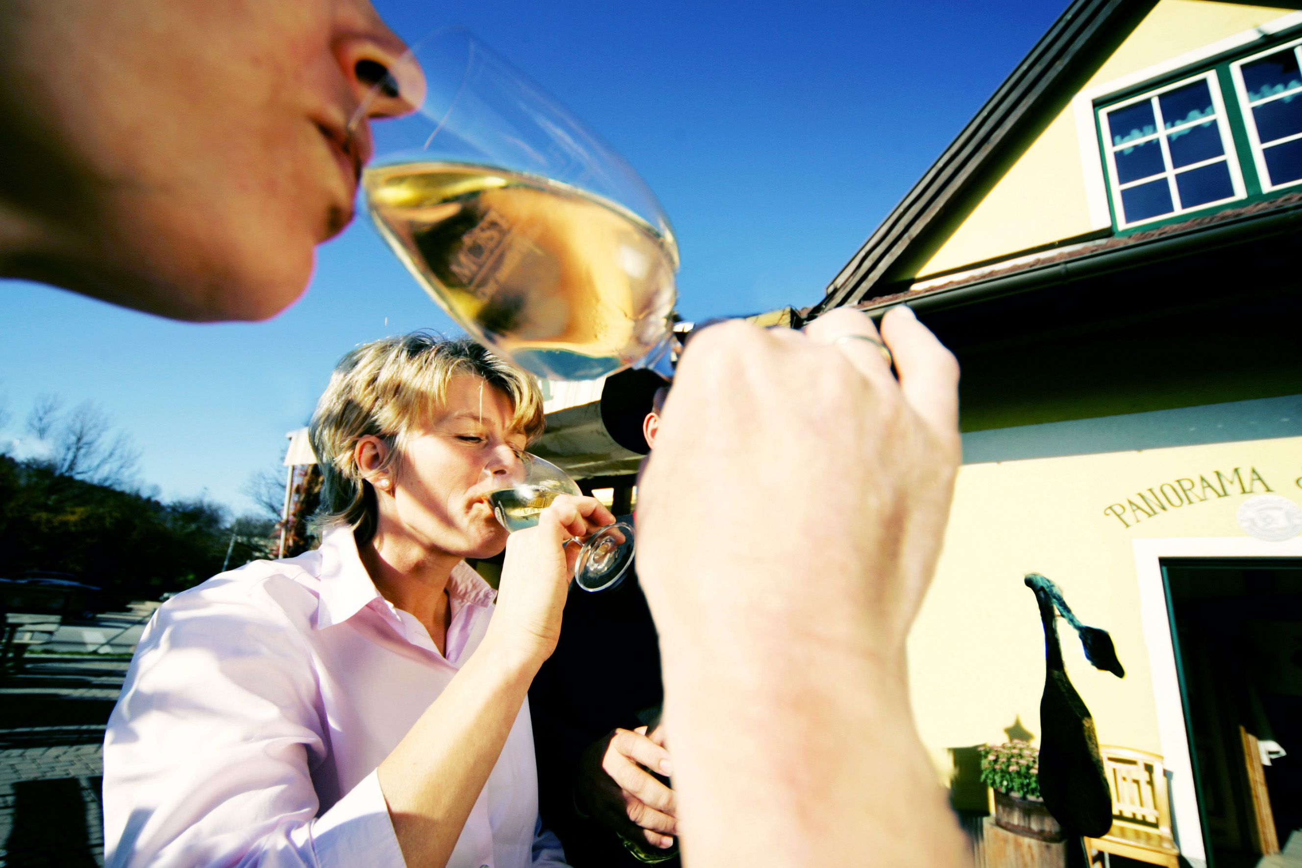 Personen trinken Wein vor einem Gebäude mit der Aufschrift 'Panorama'.