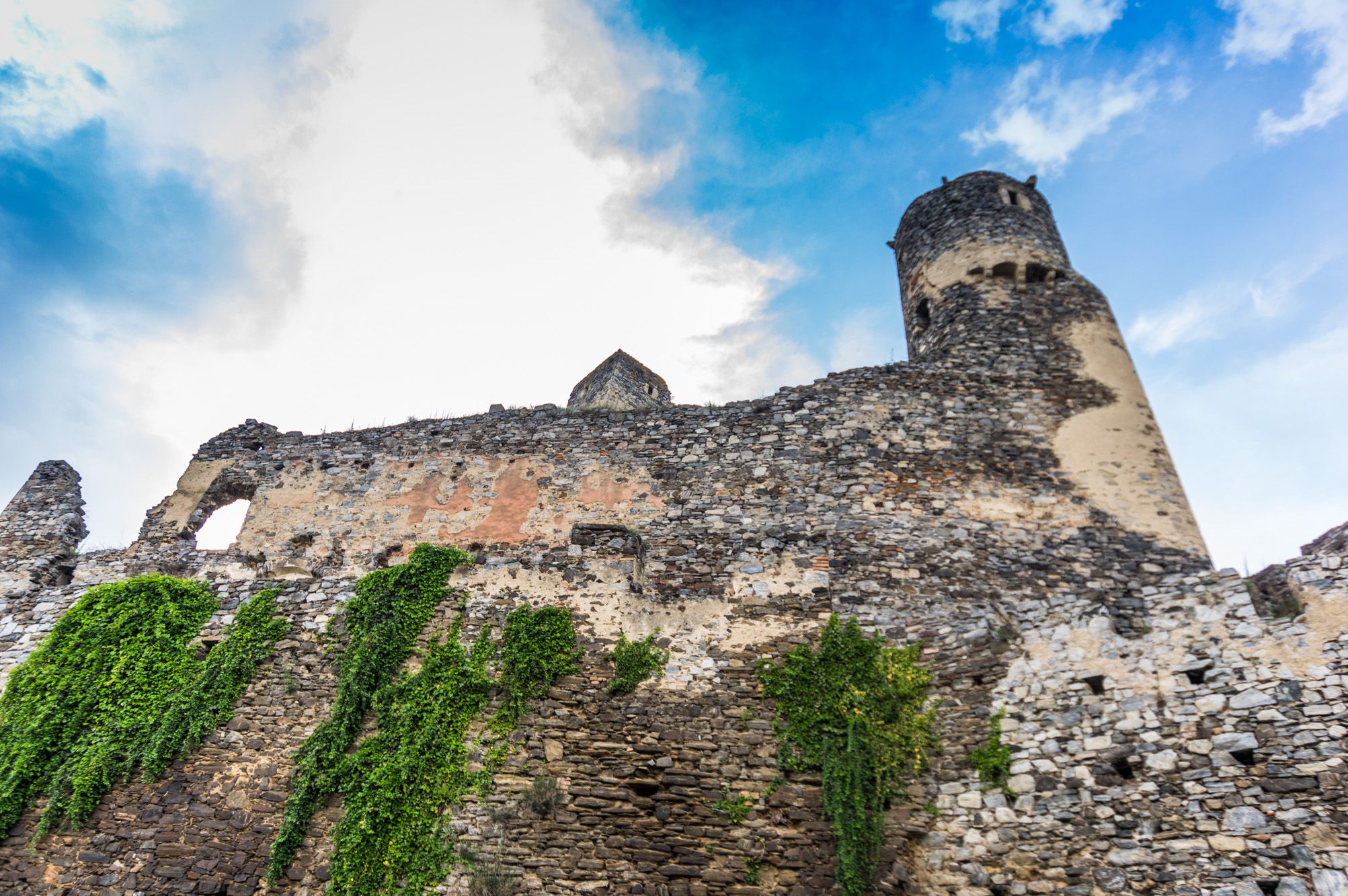 Ruine der Burg Senftenberg mit bewachsener Steinmauer und Turm.