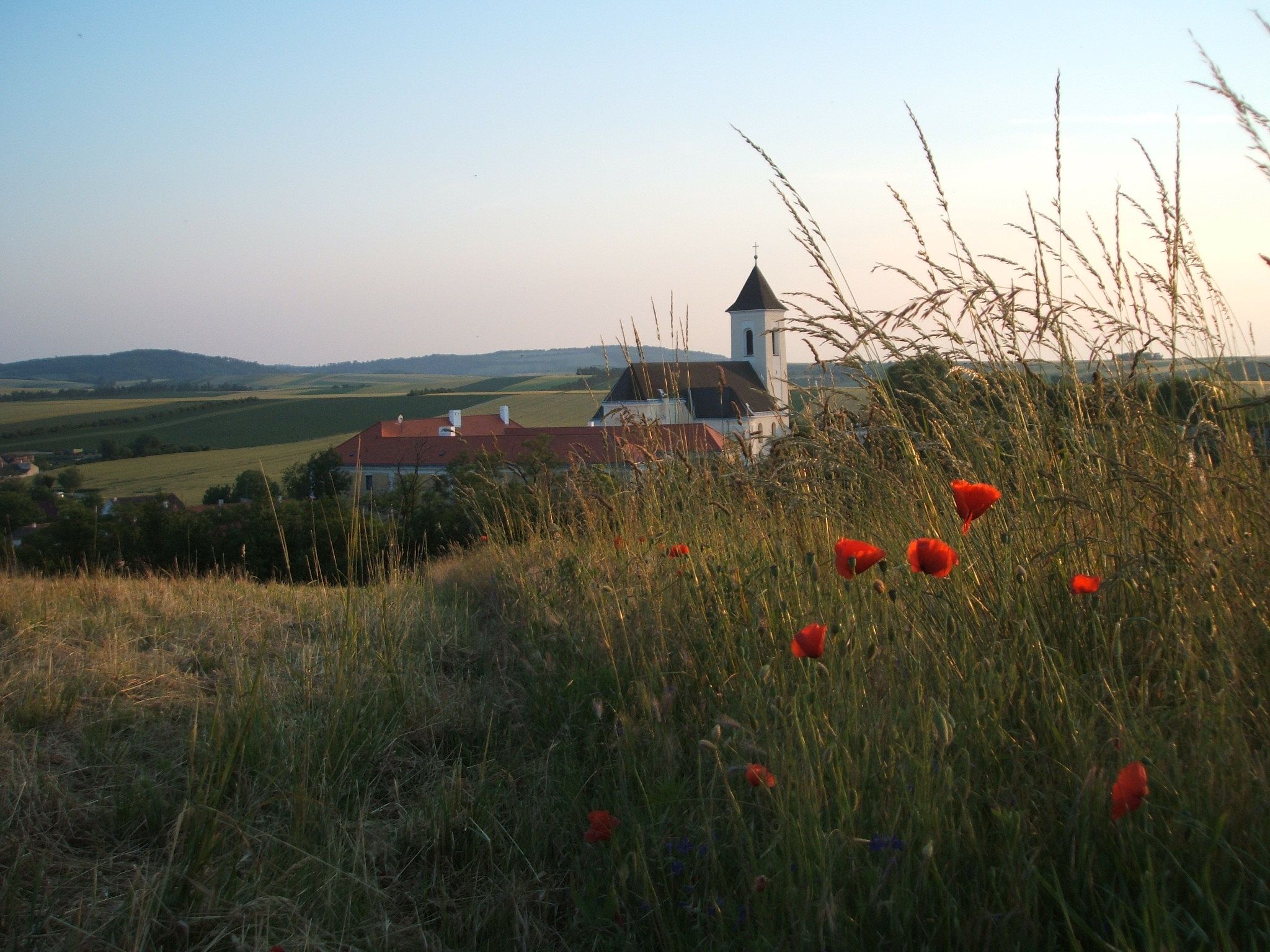 Eine Kirche in einer ländlichen Landschaft mit Mohnblumen im Vordergrund.