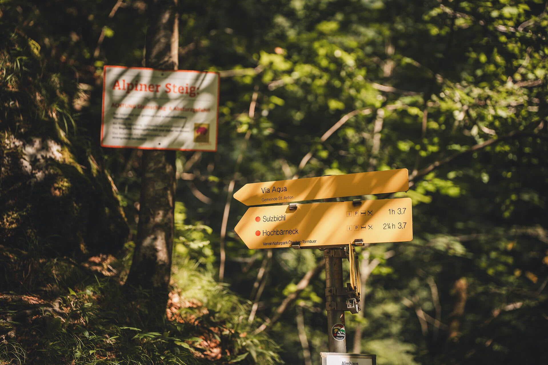 Nahaufnahme eines gelben Wegweisers zu dem Pilgerweg Via Aqua und den Wanderwegen Sulzbichl und Hochbärneck, umgeben von Waldboden und Farnen. Im Hintergrund ein Sicherheitshinweis für den Alpinen Aufstieg.