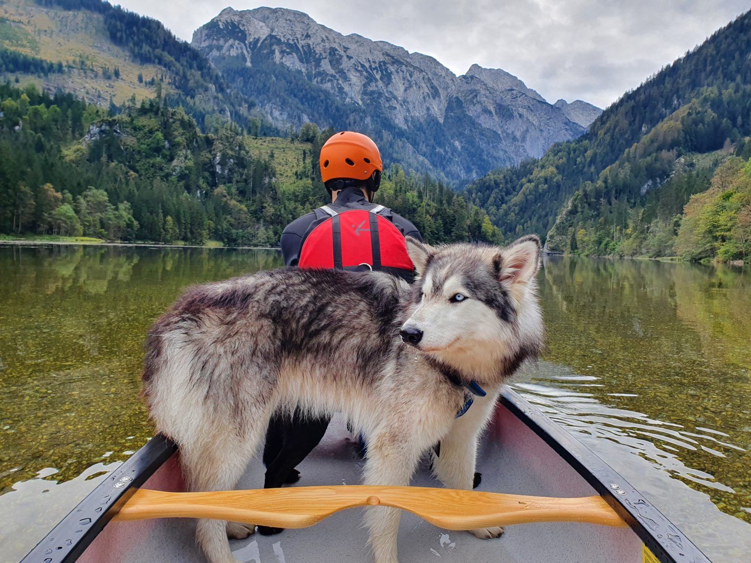 Person mit Helm und Hund in einem Kanu auf einem ruhigen See, umgeben von Bergen und Wald.