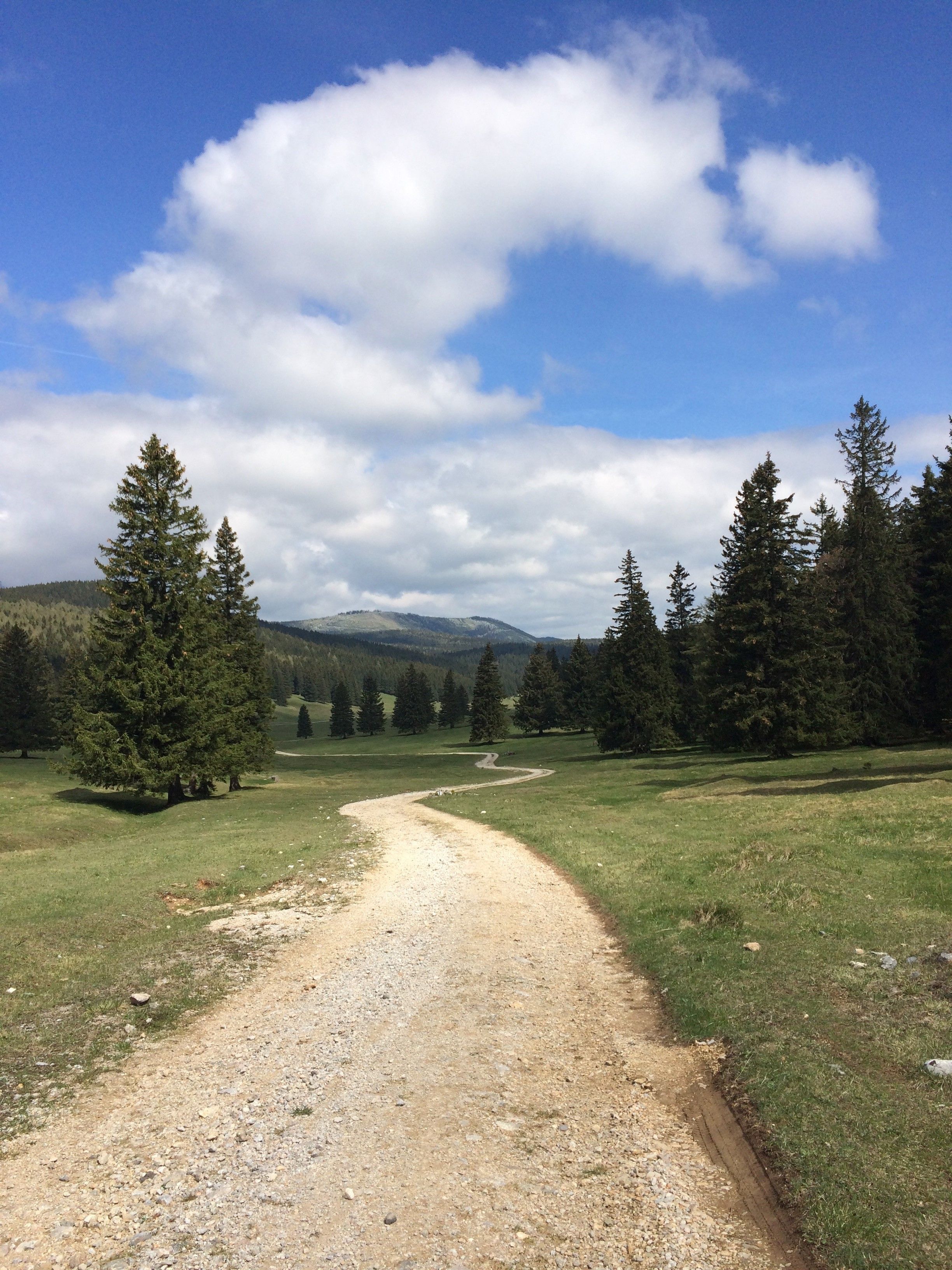 Ein Wanderweg schlängelt sich durch eine grüne Landschaft mit Bäumen und Bergen im Hintergrund unter einem blauen Himmel mit Wolken.