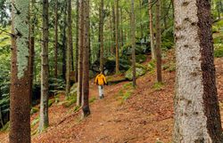 Ein sanfter Wanderweg schlängelt sich durch die dichten Wälder, wo die Sonnenstrahlen durch das Blätterdach tanzen. Die frische Luft ist erfüllt von dem Duft der Nadelbäume und dem Rascheln der Blätter, während die Natur in voller Pracht erblüht. Hier, in der Ruhe der Natur, findet man den perfekten Ort, um dem Alltag zu entfliehen und die Seele baumeln zu lassen.