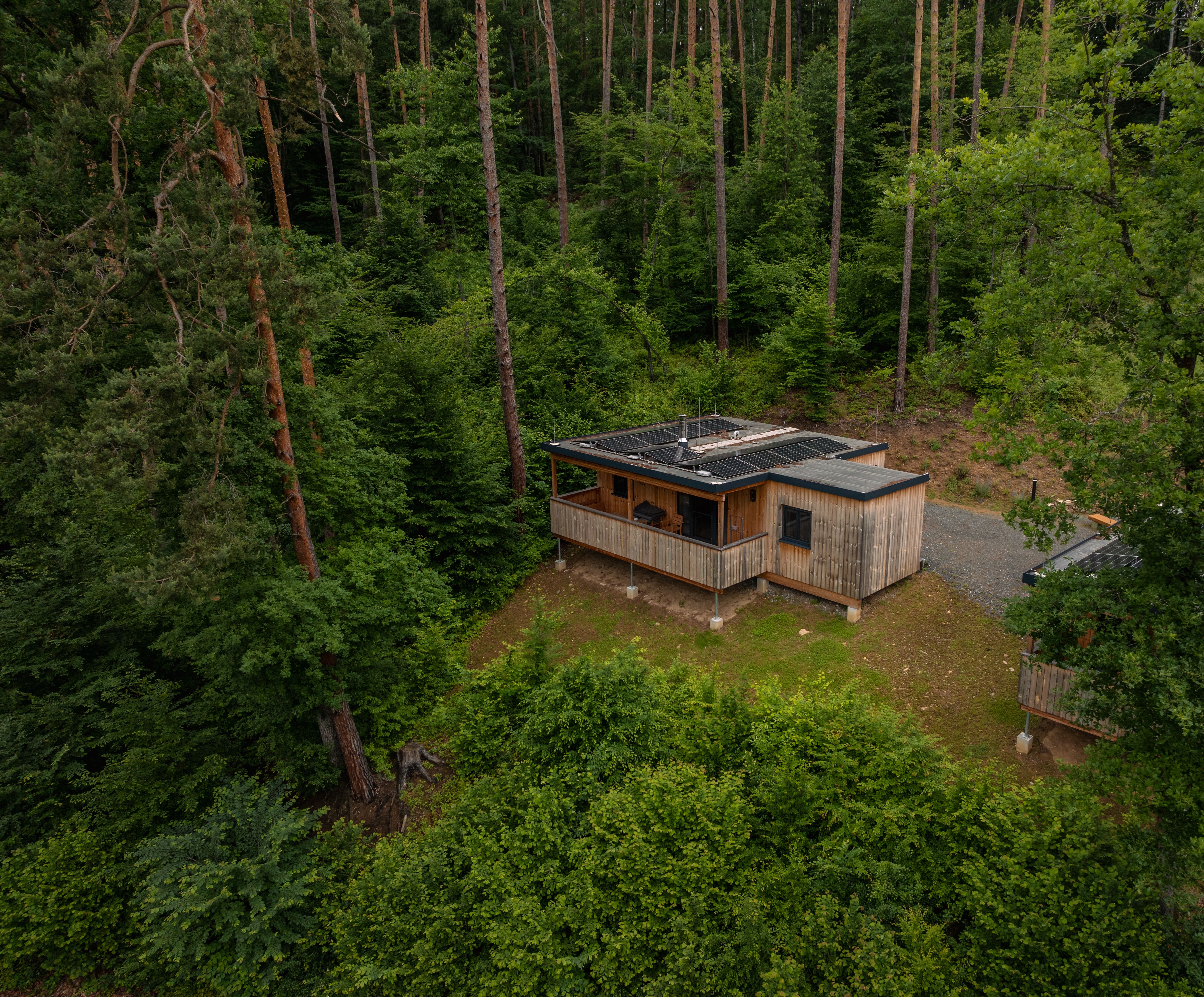 Luftaufnahme einer Burgruine am See, umgeben von Wald und Hügeln.