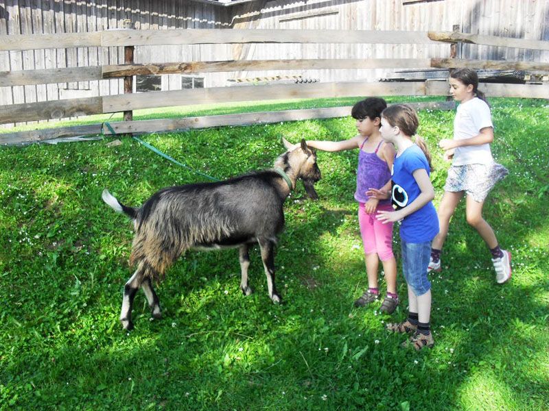 Kinder mit Ziege