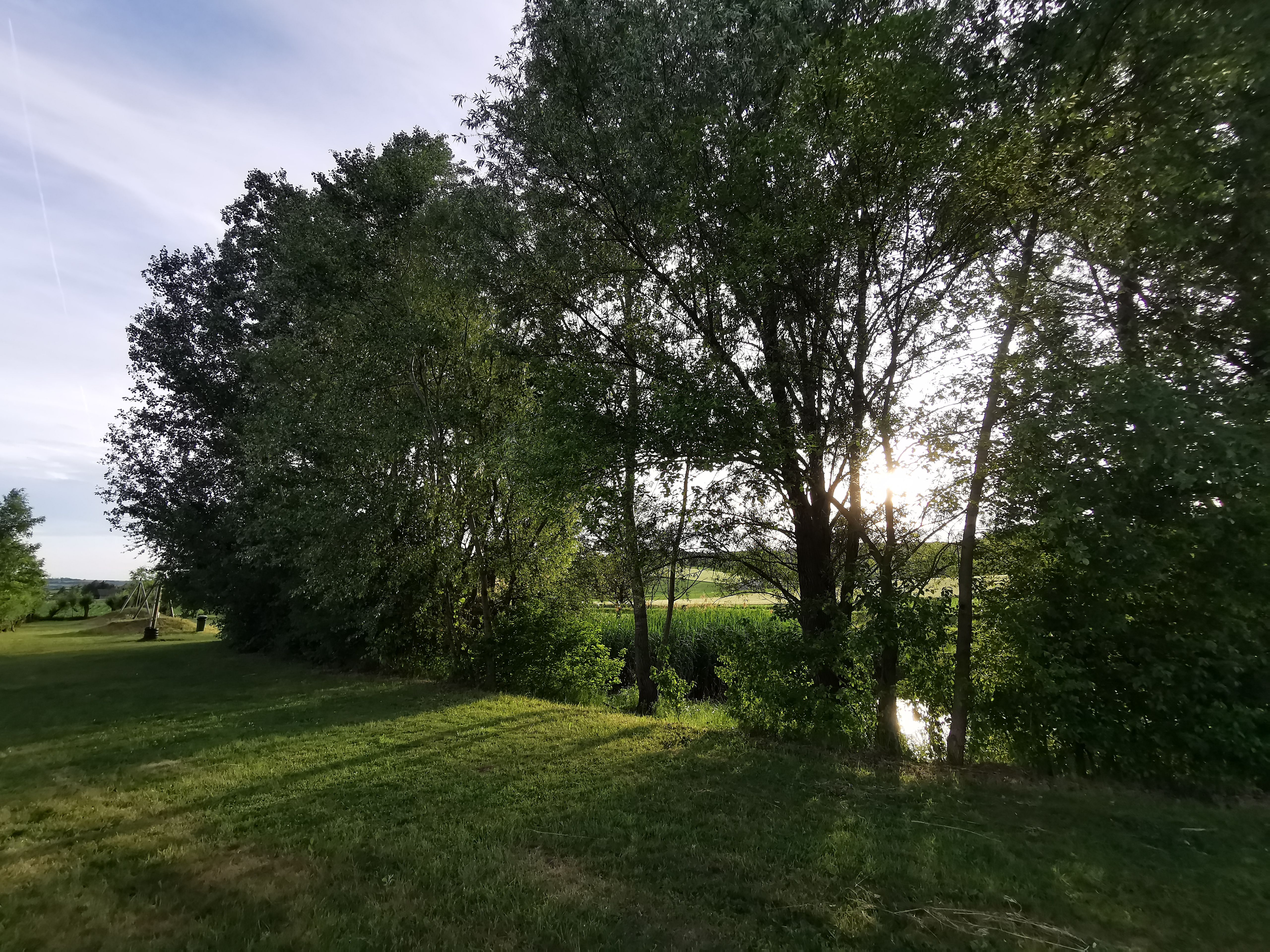 Weidenspielplatz
