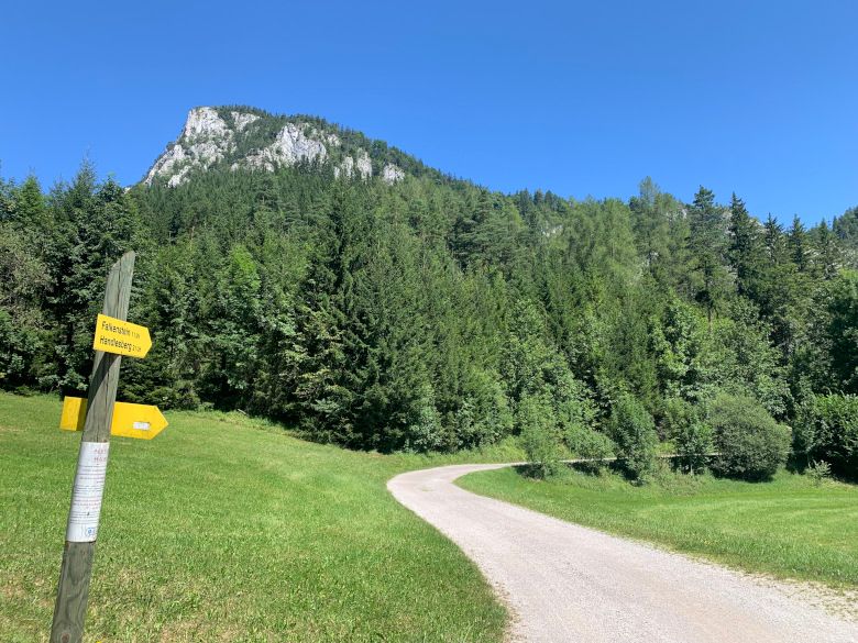 Wanderweg im Naturpark Falkenstein mit Wegweiser und Berg im Hintergrund.