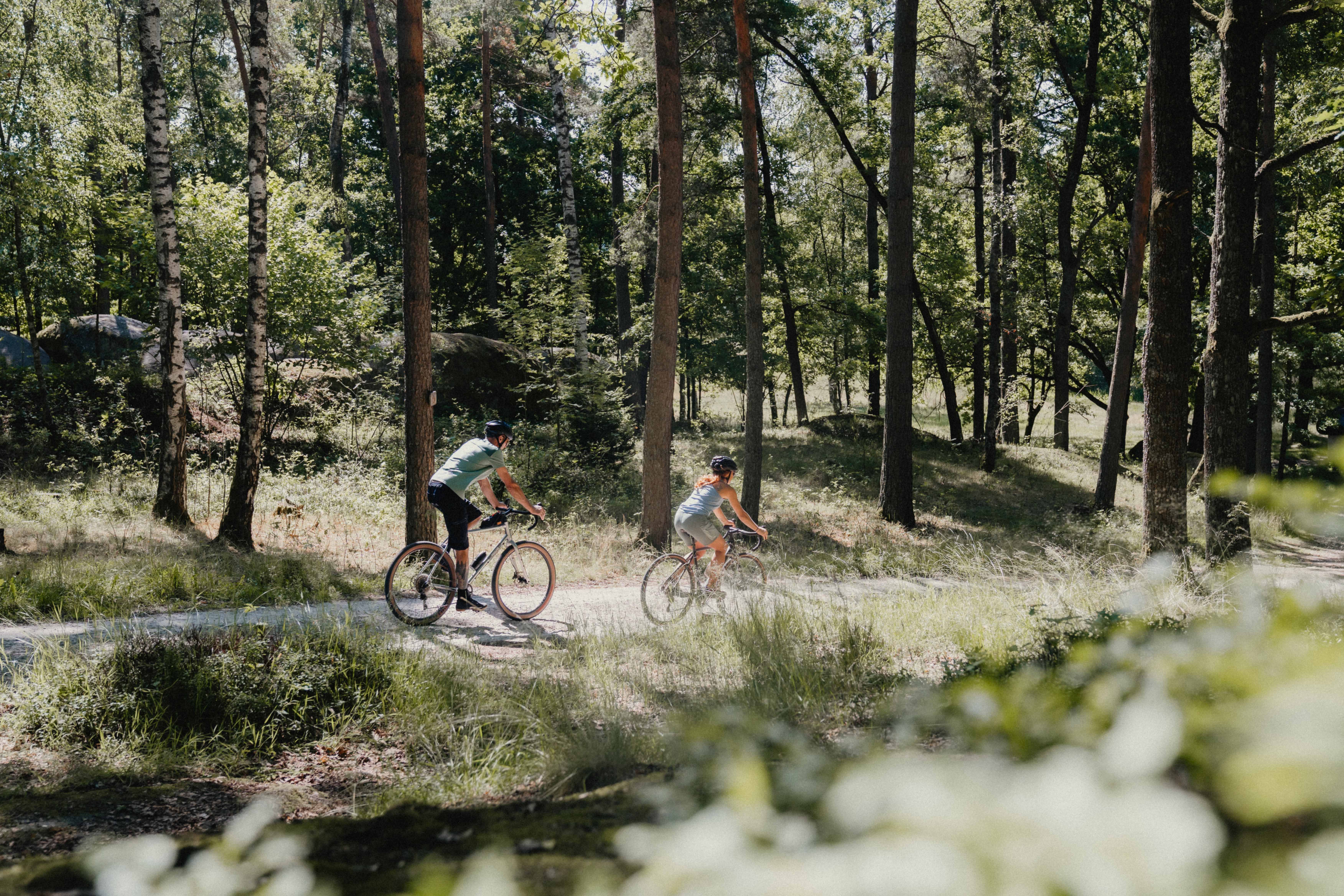 Zwei Radfahrer fahren auf einem Waldweg im Naturpark Blockheide.