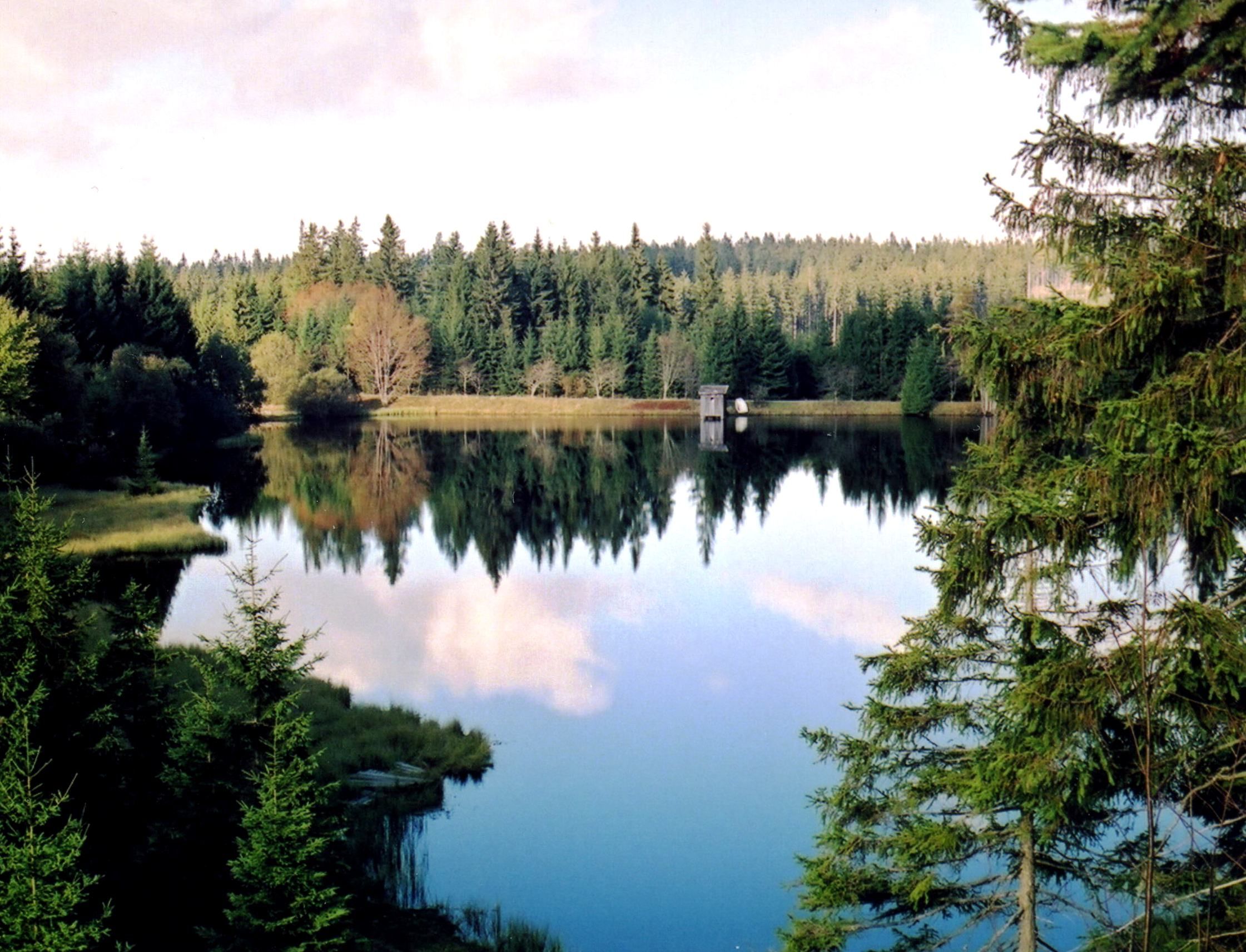 Stifter Teich