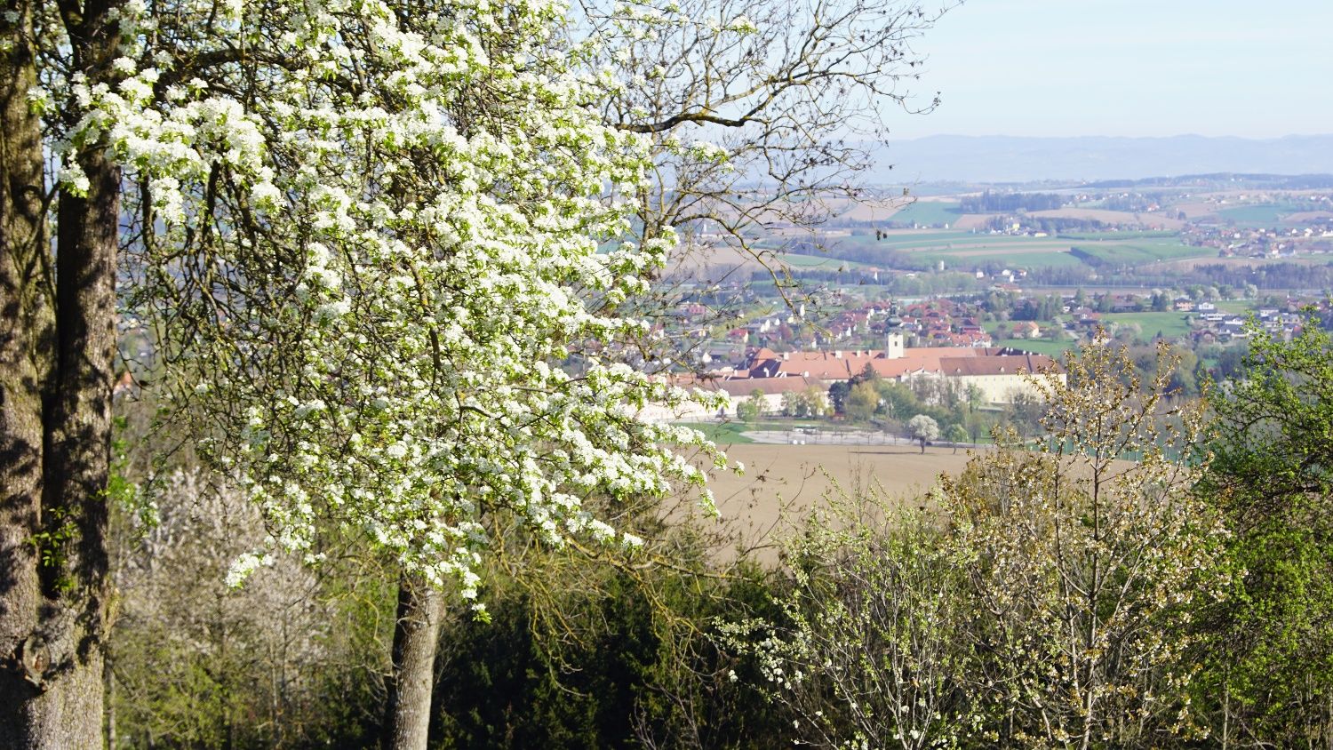 Trefflingblickweg