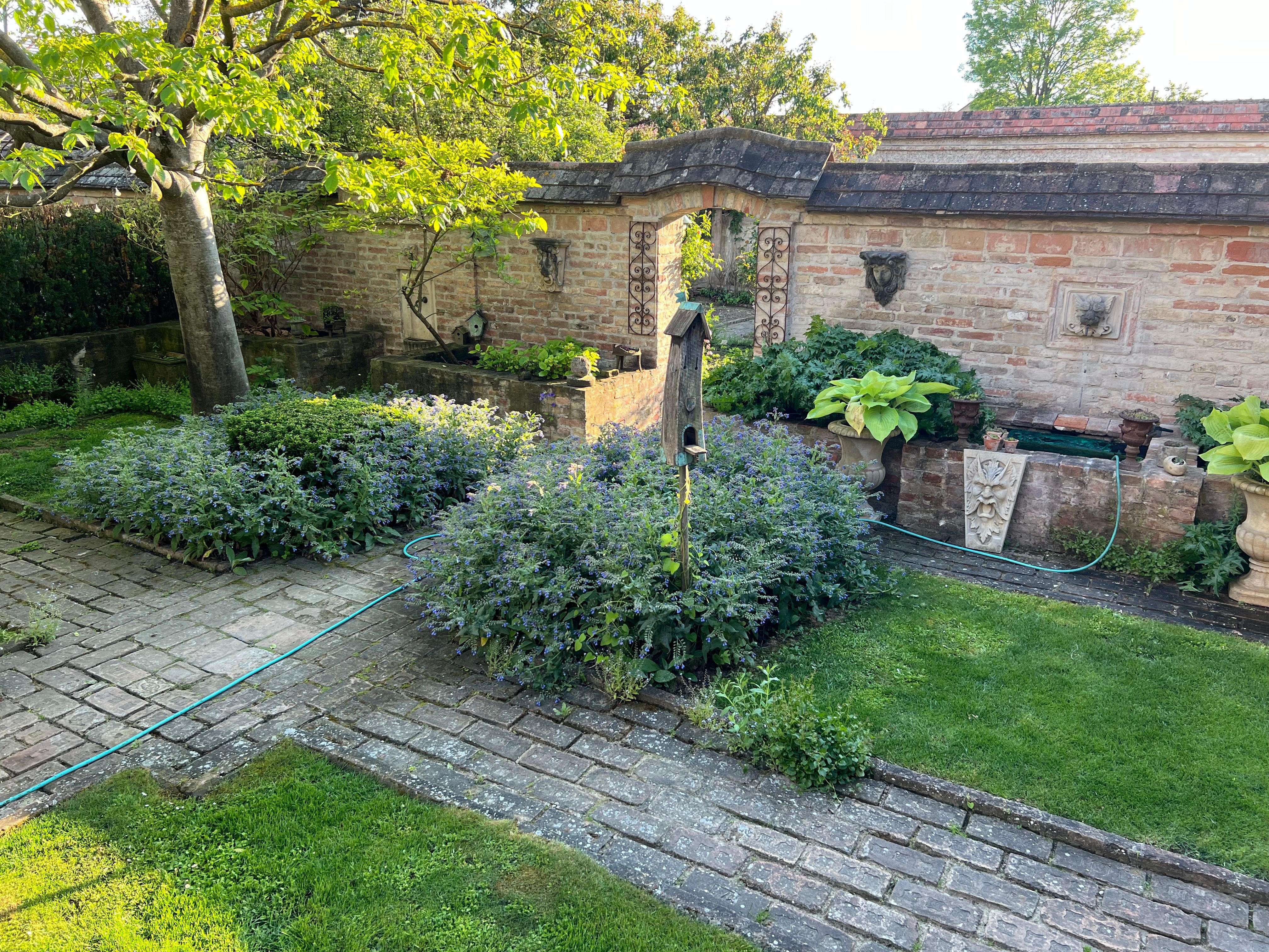 Genießen Sie die Natur im Garten