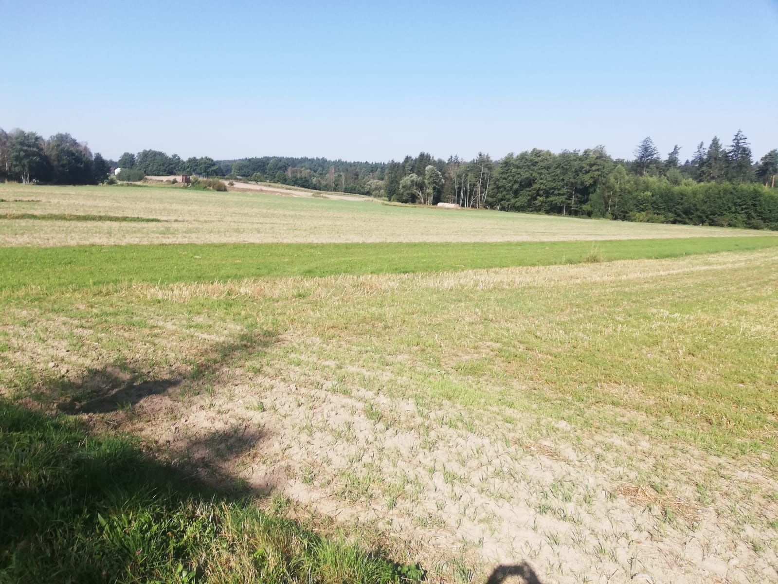 Fischersteig