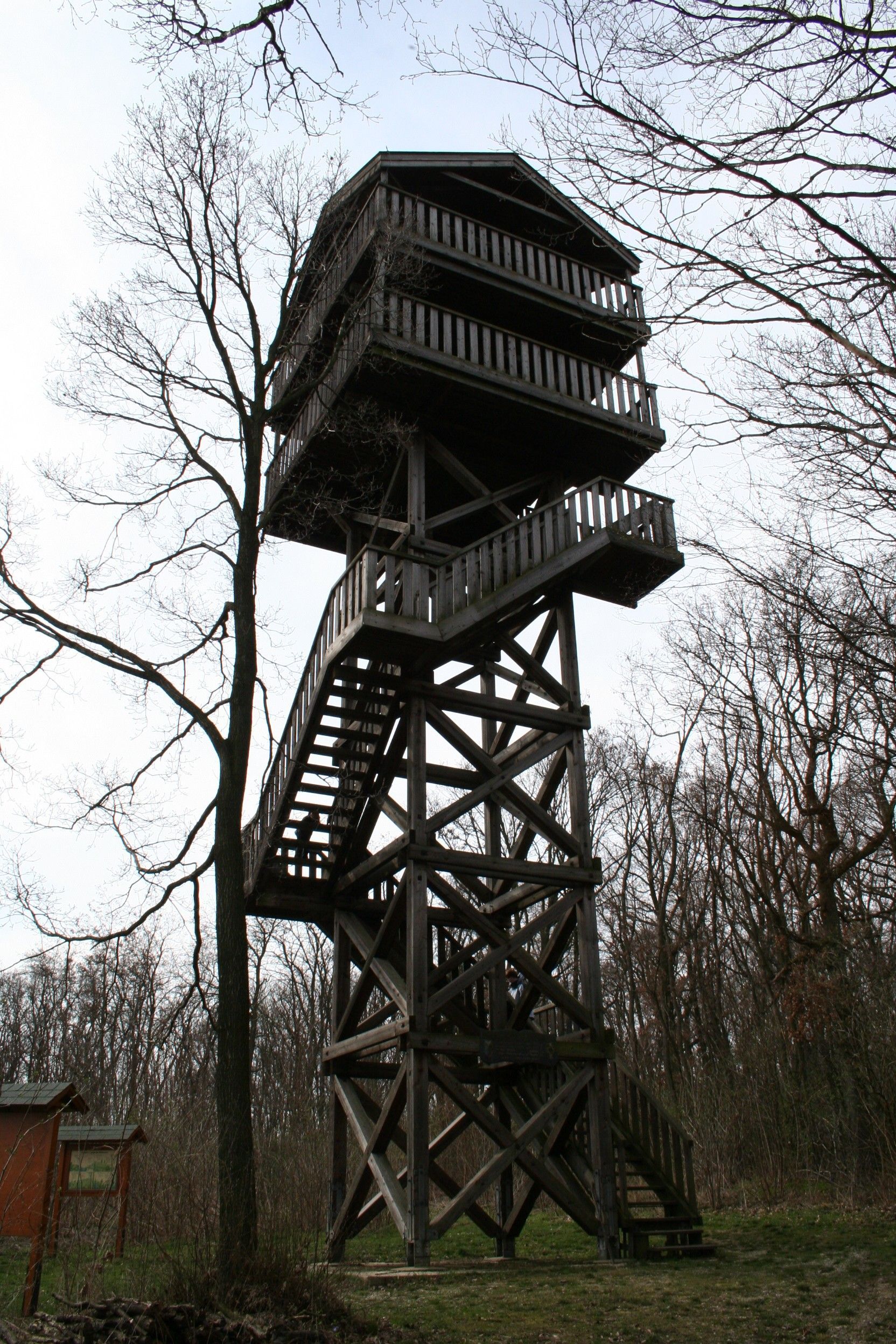 Holzaussichtsturm im Wald mit kahlen Bäumen.