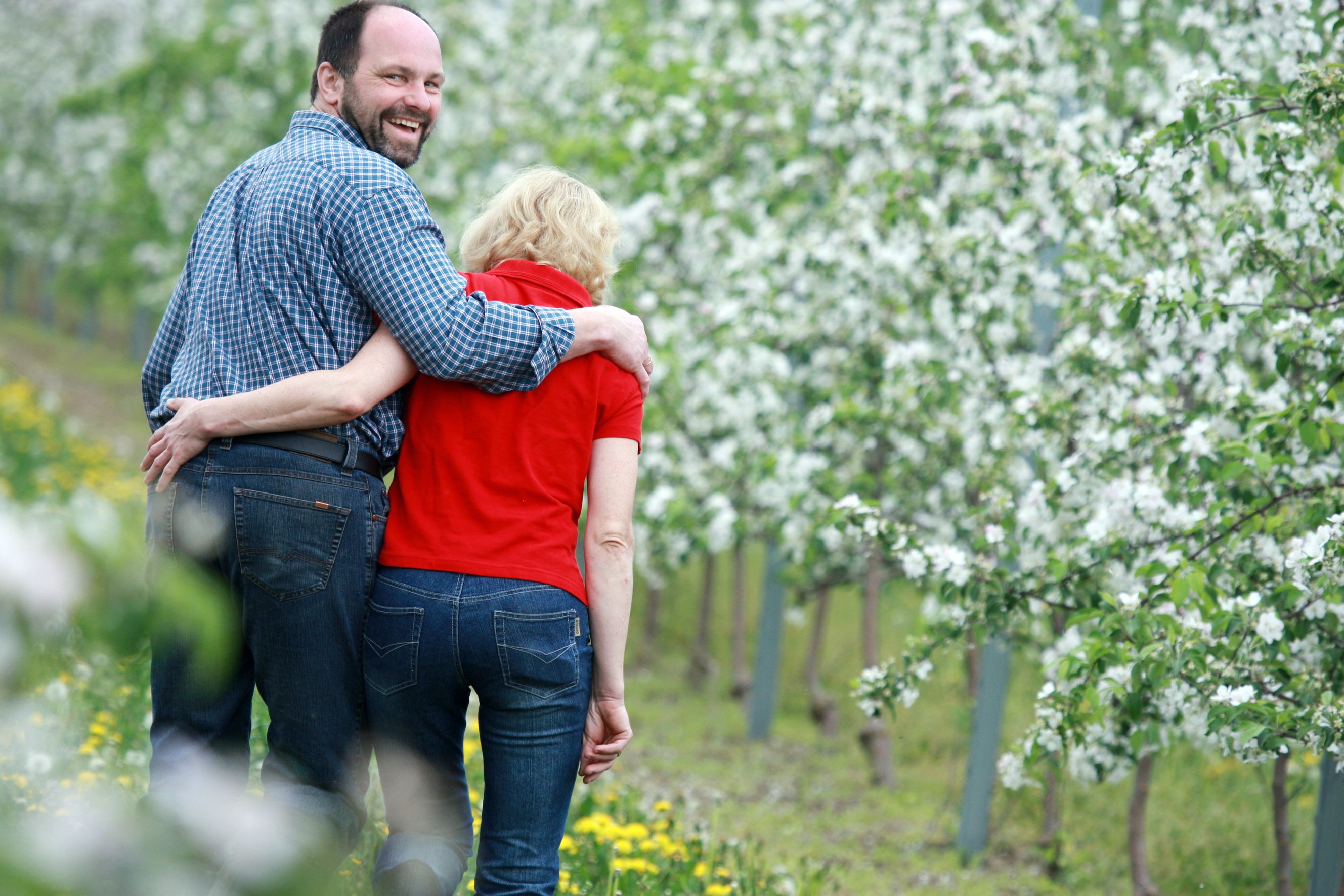 Ein Paar spaziert durch eine blühende Obstplantage.
