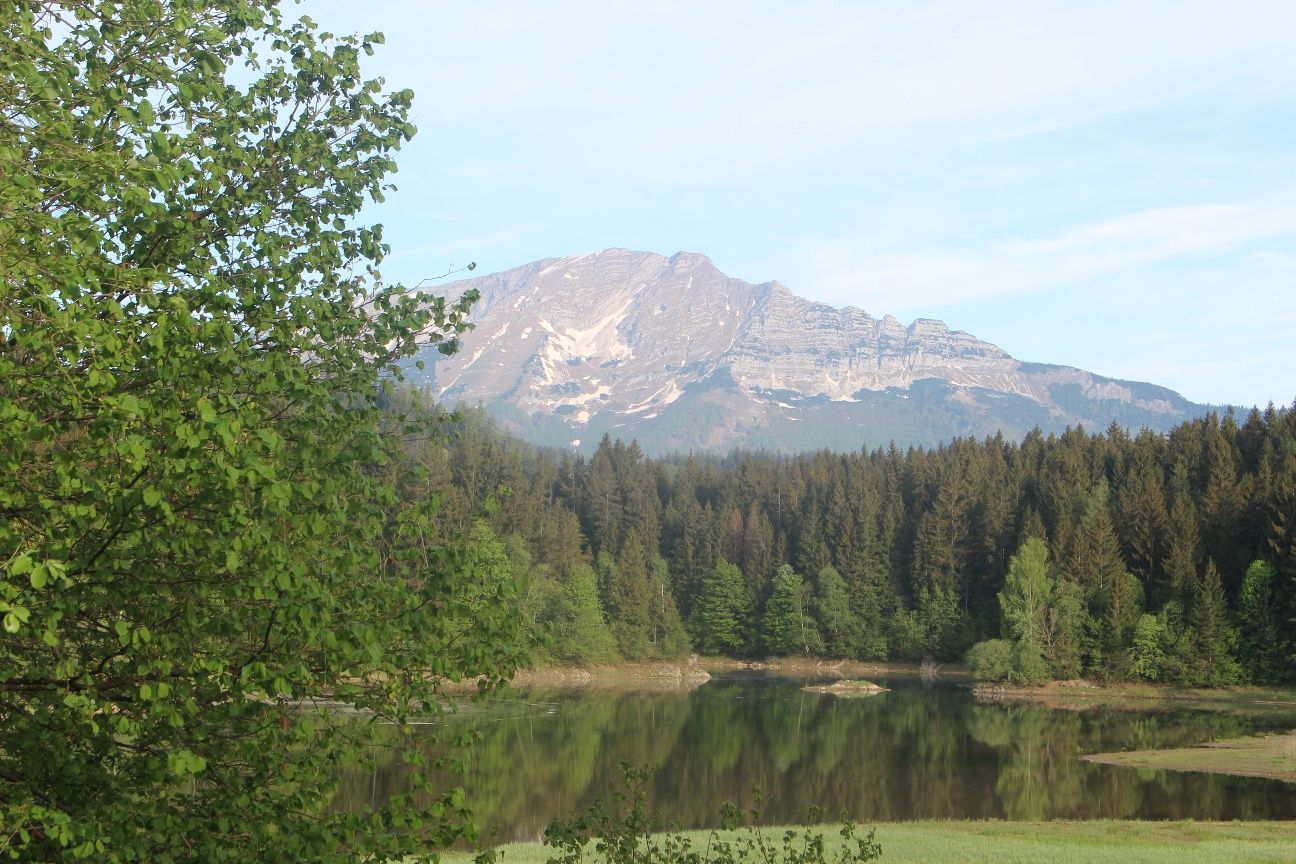 Erlaufstausee und Ötscher