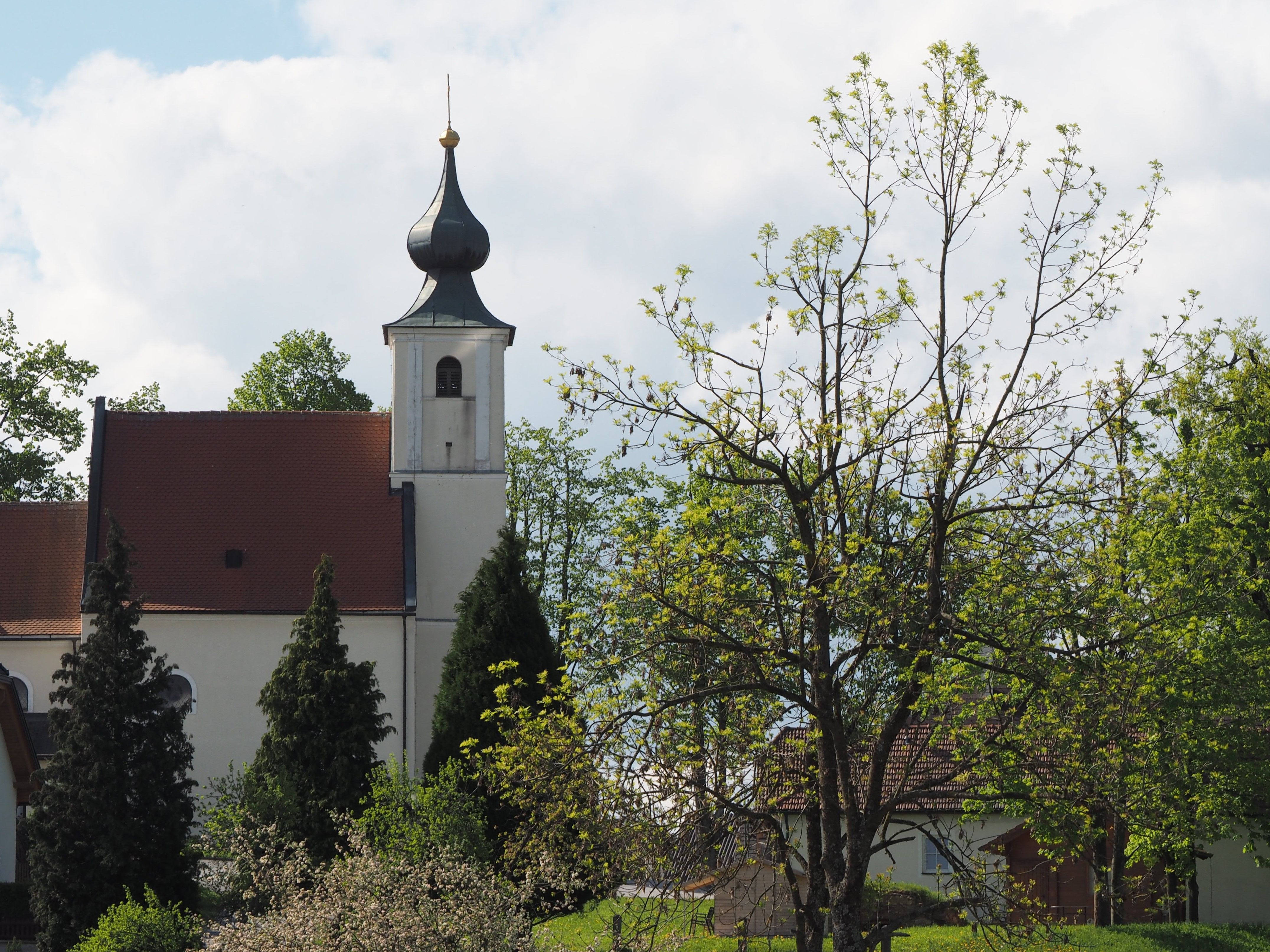 Kirche mit Zwiebelturm und Bäumen im Vordergrund.
