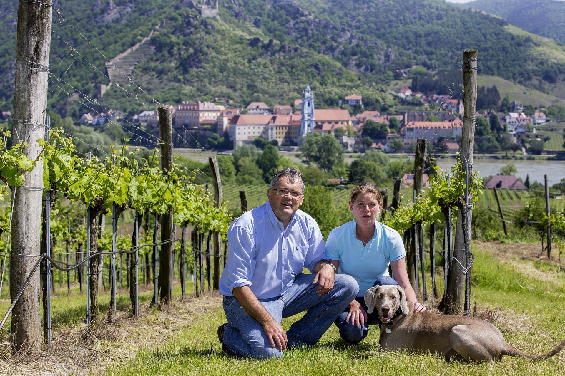 Weingut-Sigl