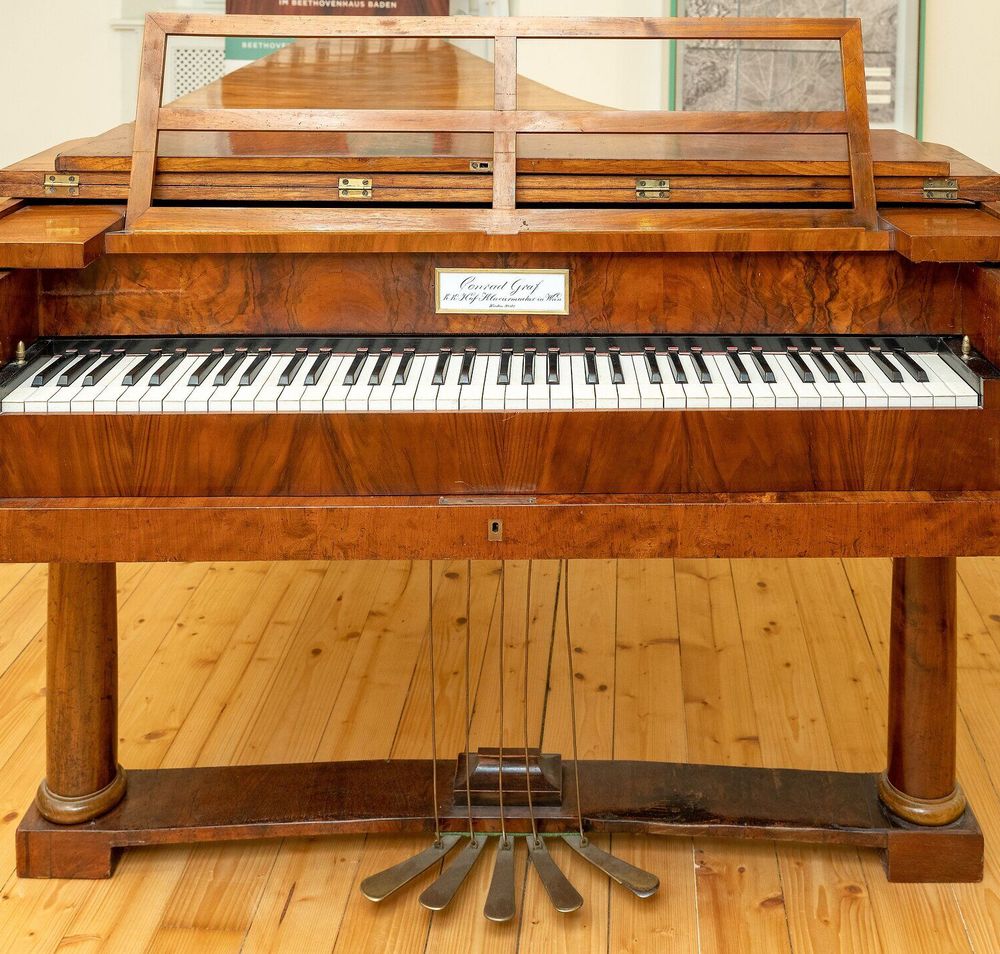 Das elegante Hammerklavier, ein Meisterwerk aus dem frühen 19. Jahrhundert, strahlt eine zeitlose Schönheit aus. Hier, wo einst große Komponisten musizierten, spürt man die kreative Energie vergangener Tage. Die warmen Holztöne und die kunstvollen Details laden dazu ein, in die Welt der Musik einzutauchen.