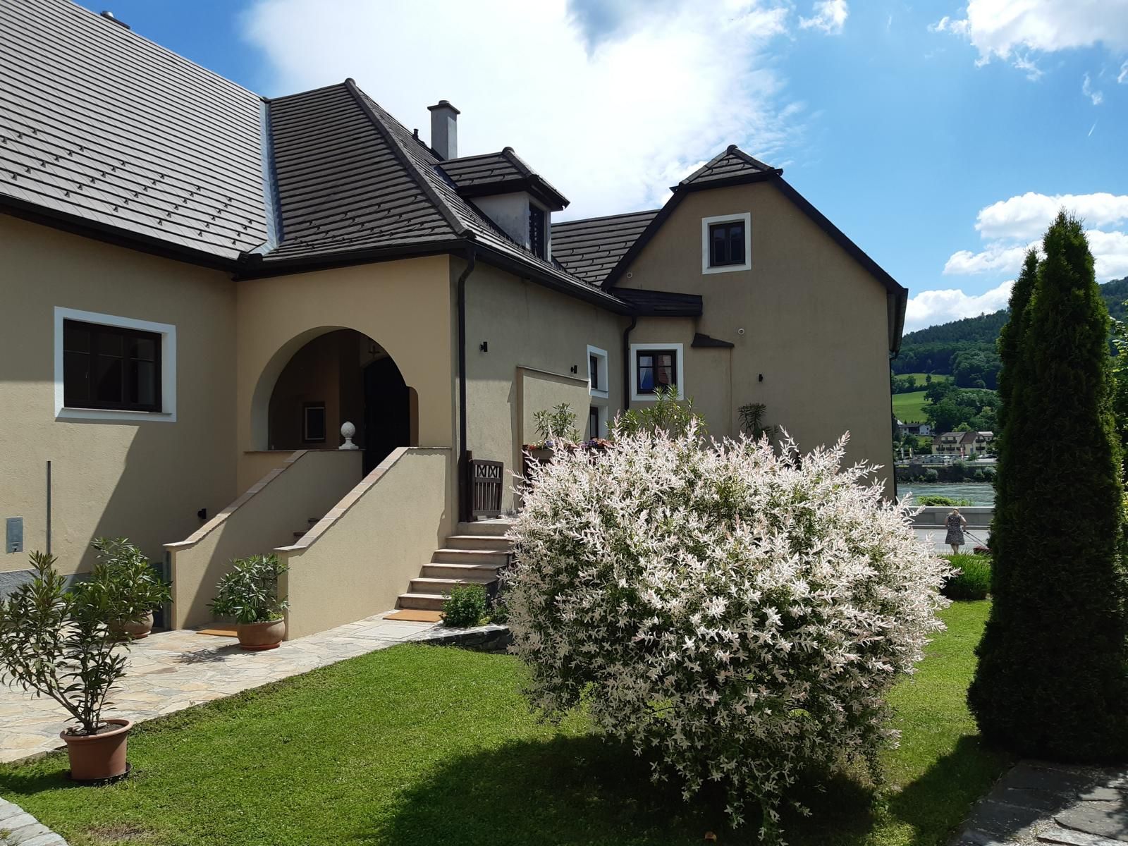 Eingangsbereich eines Hauses mit Garten und blühendem Strauch.
