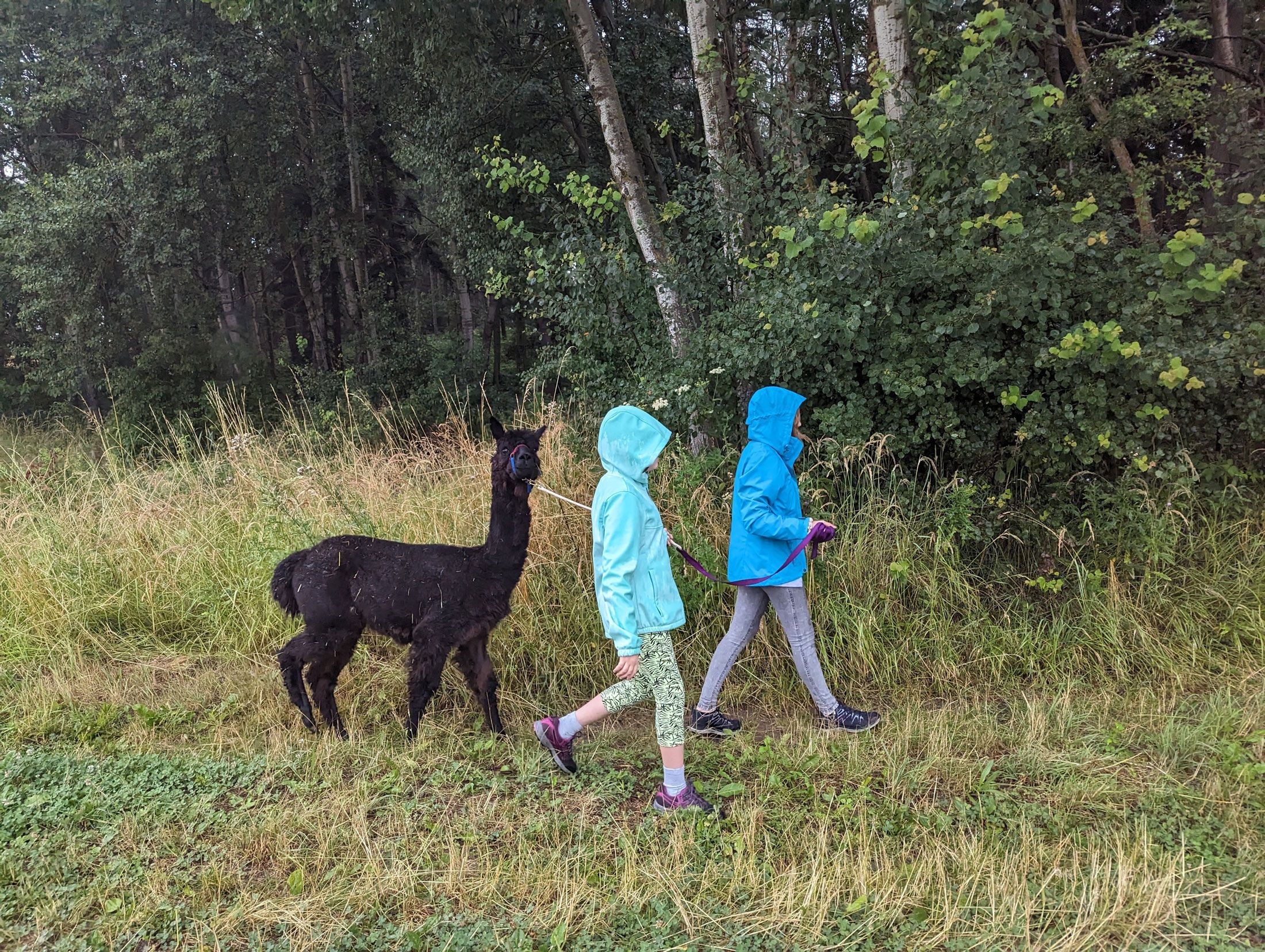 Auch im Regen möglich