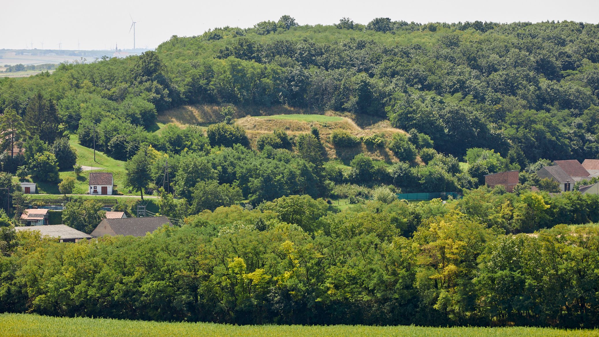 Landschaft mit Hügel, Bäumen und Häusern im Vordergrund.