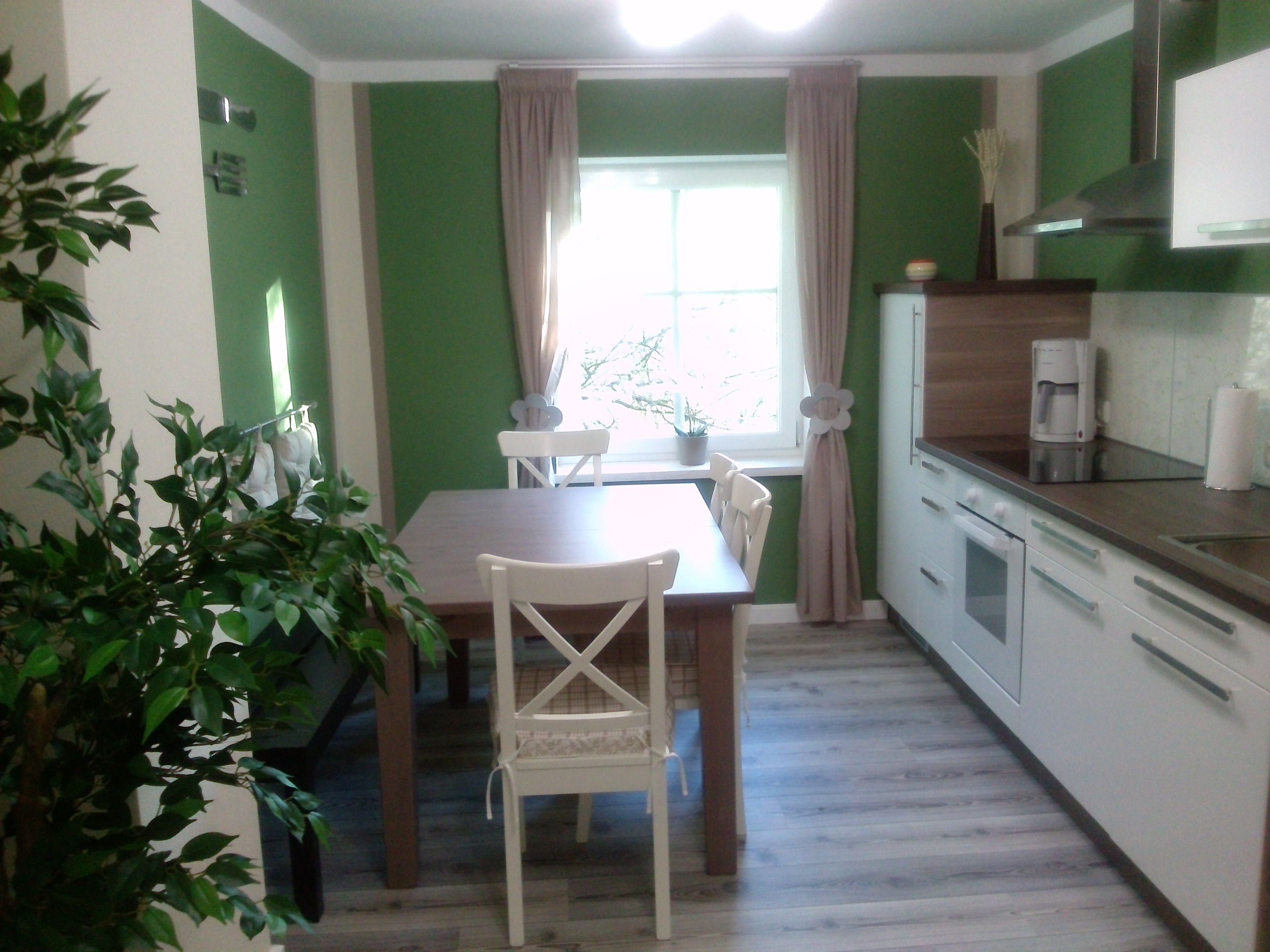 Moderne Küche mit grün-weißen Wänden, Esstisch, Stühlen und Küchengeräten.