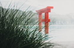 Elegantes Hotelzimmer mit Himmelbett, roten Akzenten und modernem Bad.