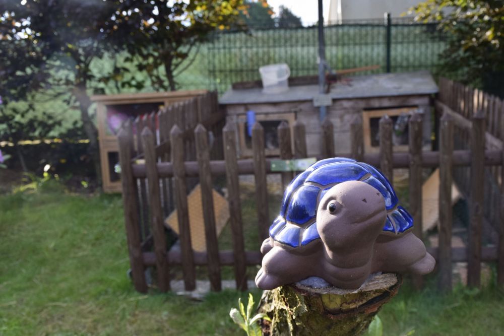 Keramikfigur einer Schildkröte vor einem Holzzaun und einem kleinen Gehege im Garten.