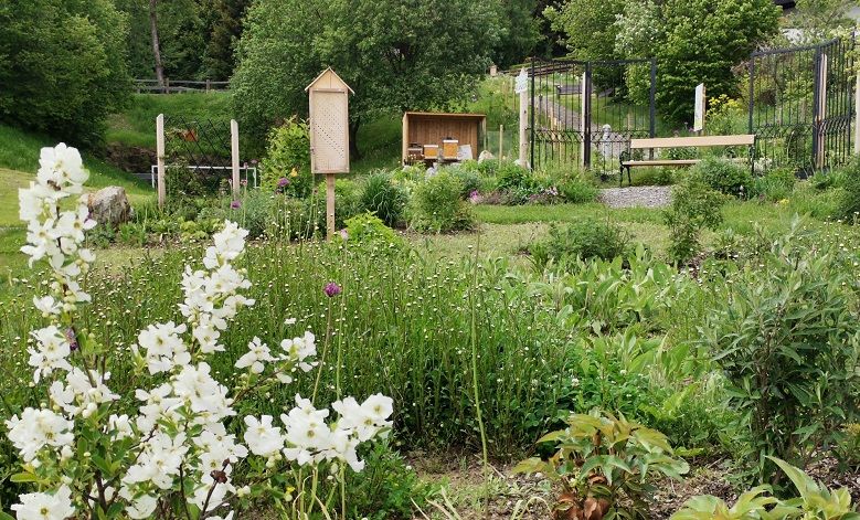 Eine blühende Wiese mit Wildblumen, einem Insektenhotel und einer Bank im Hintergrund.