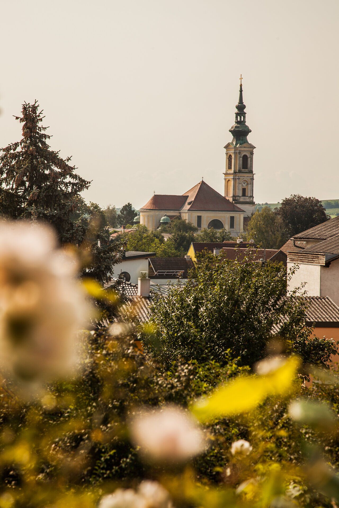 In der sanften Hügellandschaft blühen die Rosen in voller Pracht und umrahmen die malerische Kirche, die stolz über das Dorf wacht. Die goldenen Strahlen der Sonne tauchen die Szenerie in ein warmes Licht und laden dazu ein, die Schönheit der Natur zu genießen.