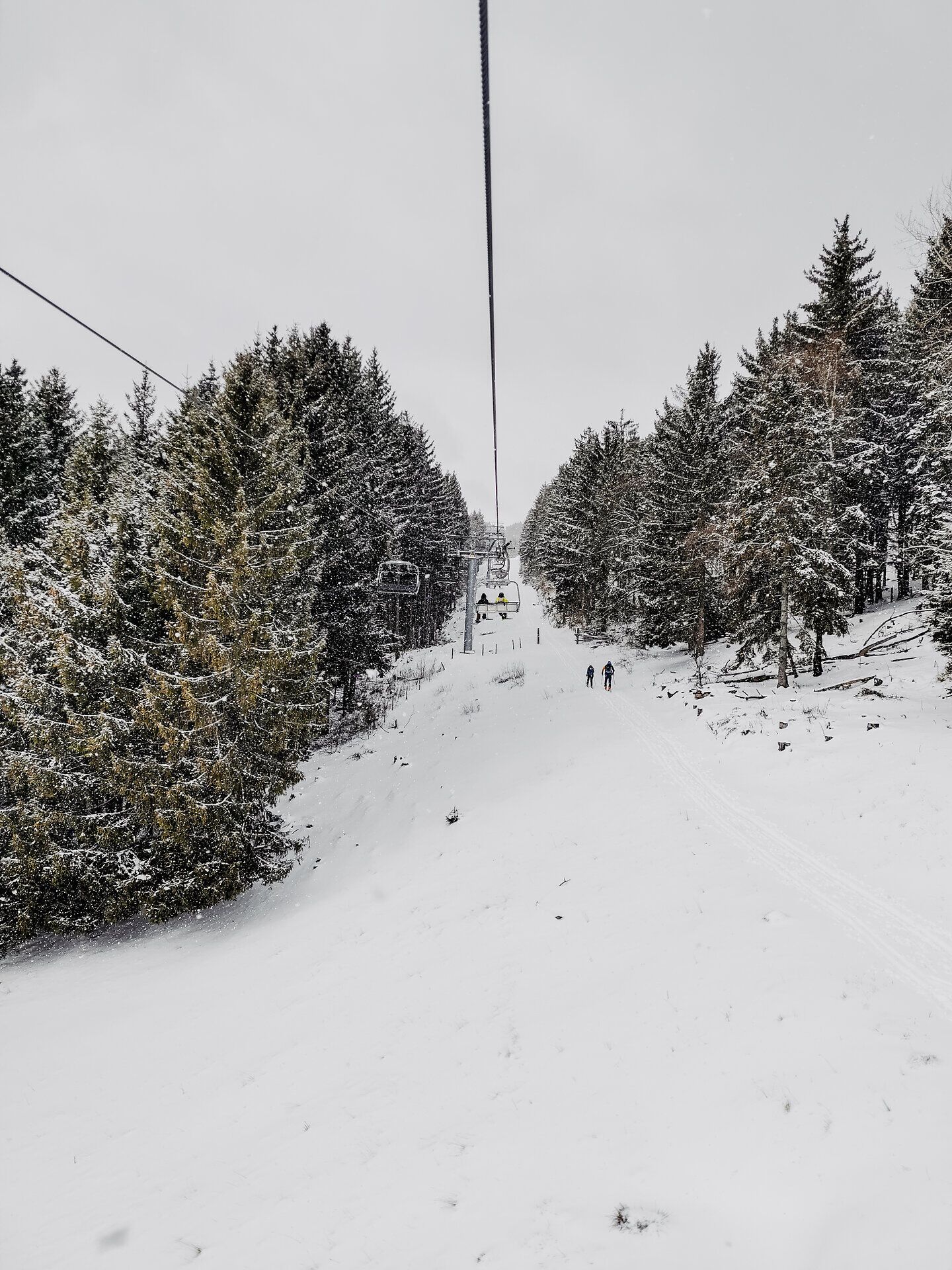 Sanfte Schneehügel erstrecken sich unter einem grauen Himmel, während der Sessellift gemächlich die Gäste in die Höhe befördert. Die winterliche Landschaft ist von einer ruhigen Stille umgeben, nur das Knirschen des Schnees unter den Skiern ist zu hören. Familien genießen die gemeinsame Zeit im Schnee und die Vorfreude auf rasante Abfahrten.