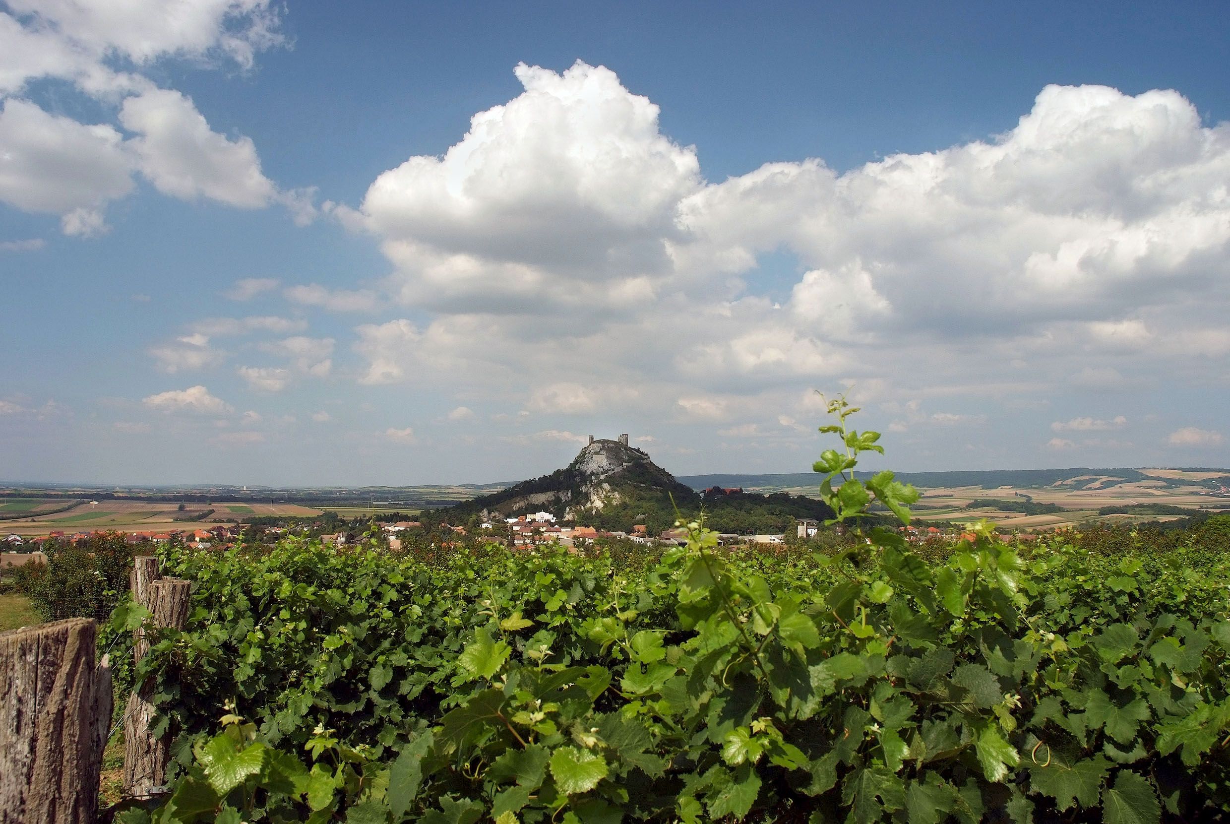 Blick auf den Staatzer Berg mit Ruine, umgeben von Weinbergen und Feldern unter blauem Himmel mit Wolken.
