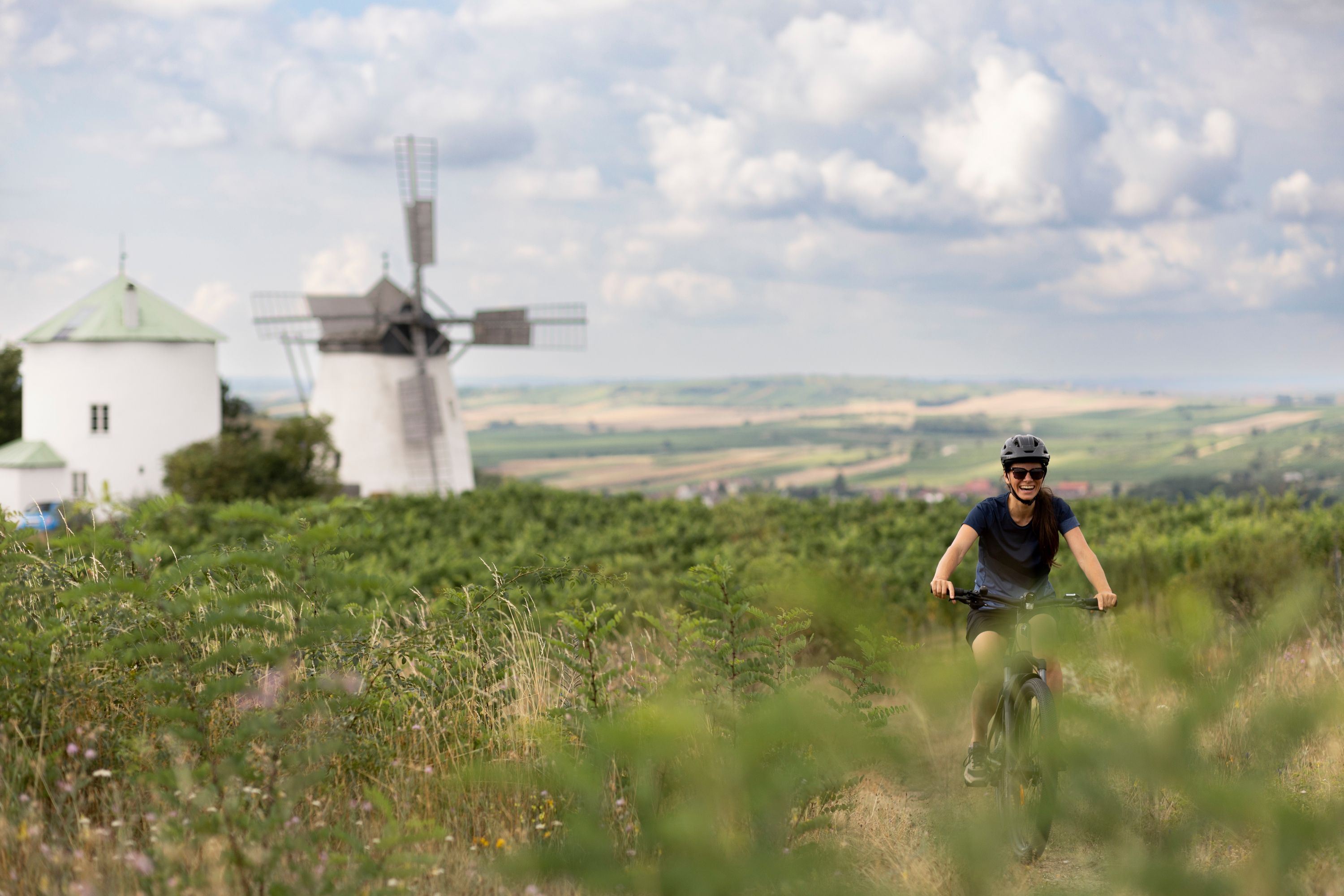 Eine Person fährt mit dem Fahrrad durch eine grüne Landschaft mit einer Windmühle im Hintergrund.