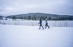 Die sanften Hügel des Winters laden zu einer erfrischenden Langlauftour ein. Umgeben von schneebedeckten Bäumen und der ruhigen Wasseroberfläche des Frauenwieserteichs, genießen die Sportler die klare, kalte Luft und die friedliche Stille der winterlichen Landschaft.