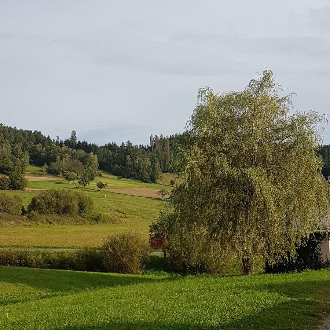 Dorfweg
