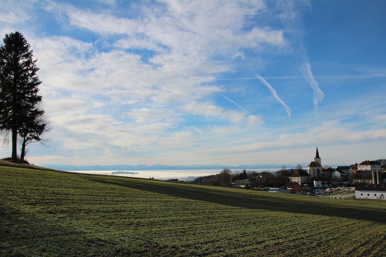Herrliche Aussicht vom Friedenskreuz in St.Oswald (Alpenblick und ins Yspertal)