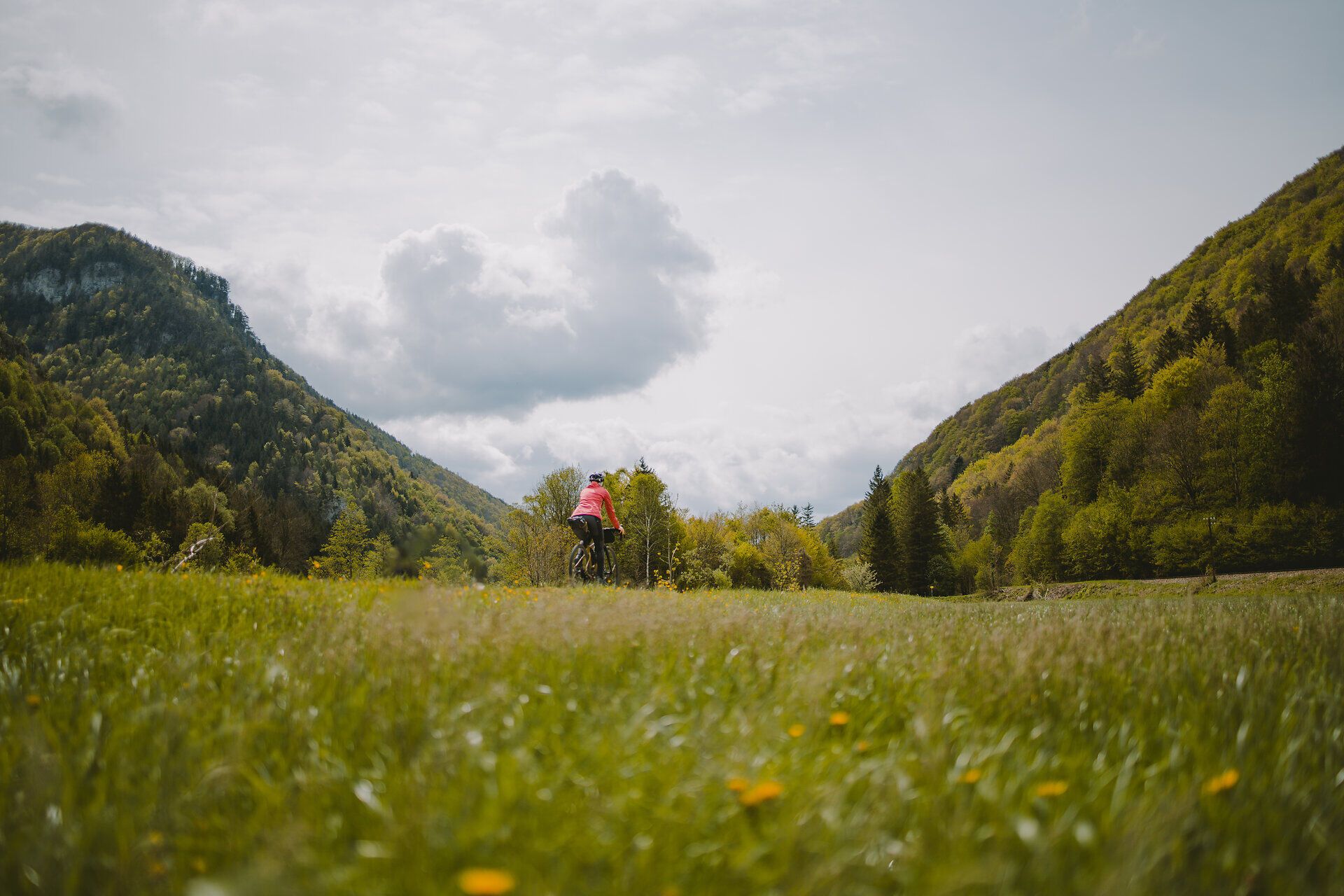 Ein malerischer Radweg schlängelt sich entlang eines sanft plätschernden Baches, umgeben von üppigem Grün und blühenden Wiesen. Die klare Luft und die strahlende Sonne laden dazu ein, die Schönheit der Natur zu genießen und die Seele baumeln zu lassen.